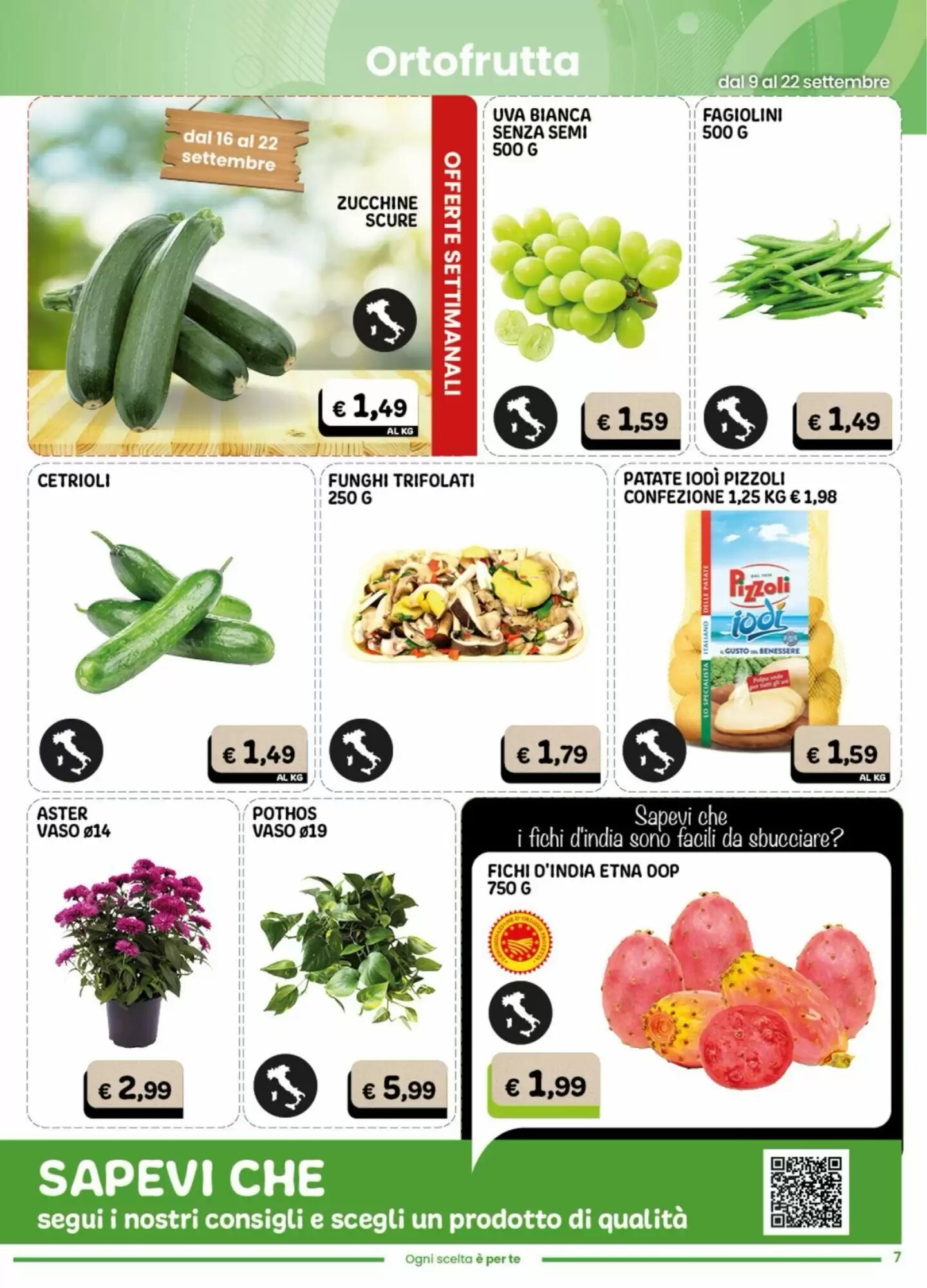 Volantino promozionale Gala Supermercati  valide dal 09/09/2026 - Pagina 6.