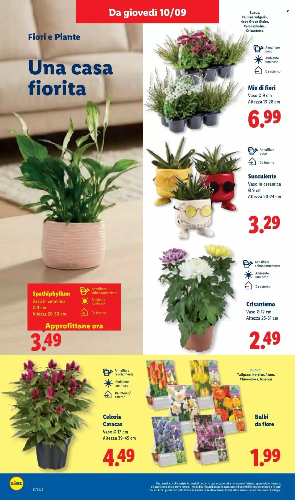 Volantino promozionale Lidl  valide dal 10/09/2026 - Pagina 46.