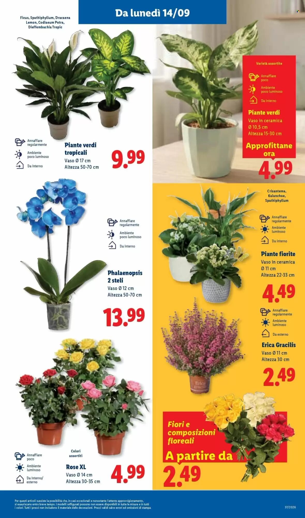 Volantino promozionale Lidl  valide dal 10/09/2026 - Pagina 47.