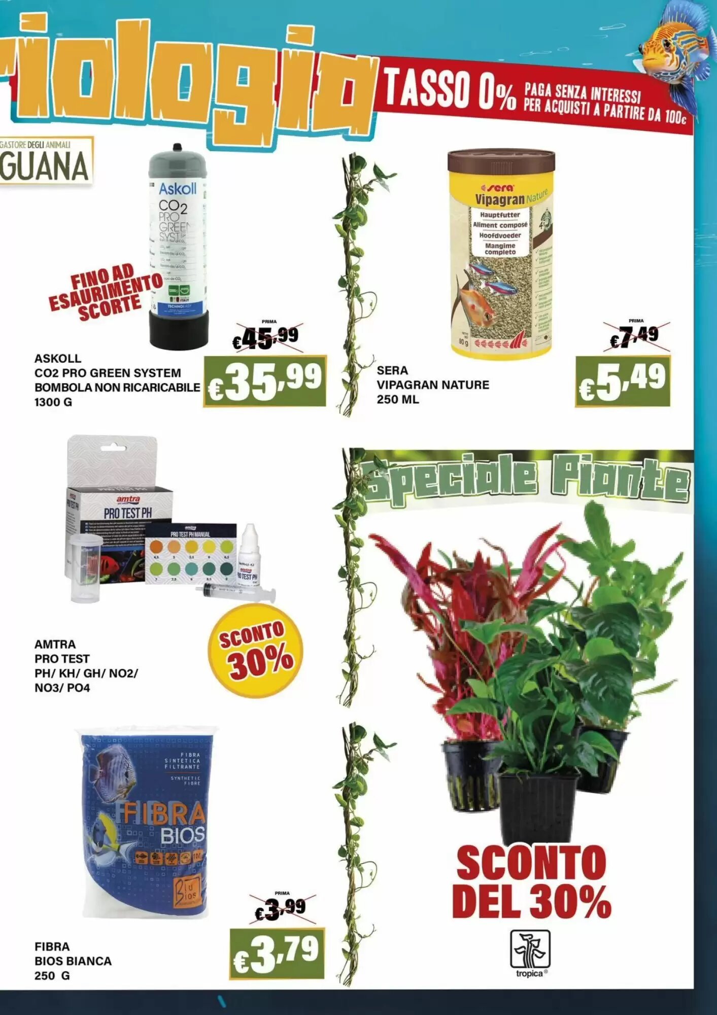 Volantino promozionale Zoomiguana  valide dal 10/09/2026 - Pagina 11.