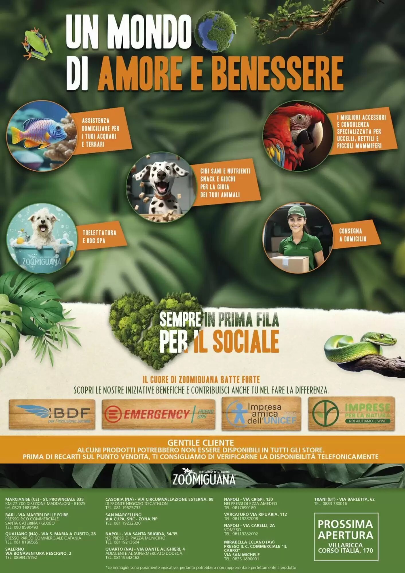 Volantino promozionale Zoomiguana  valide dal 10/09/2026 - Pagina 12.
