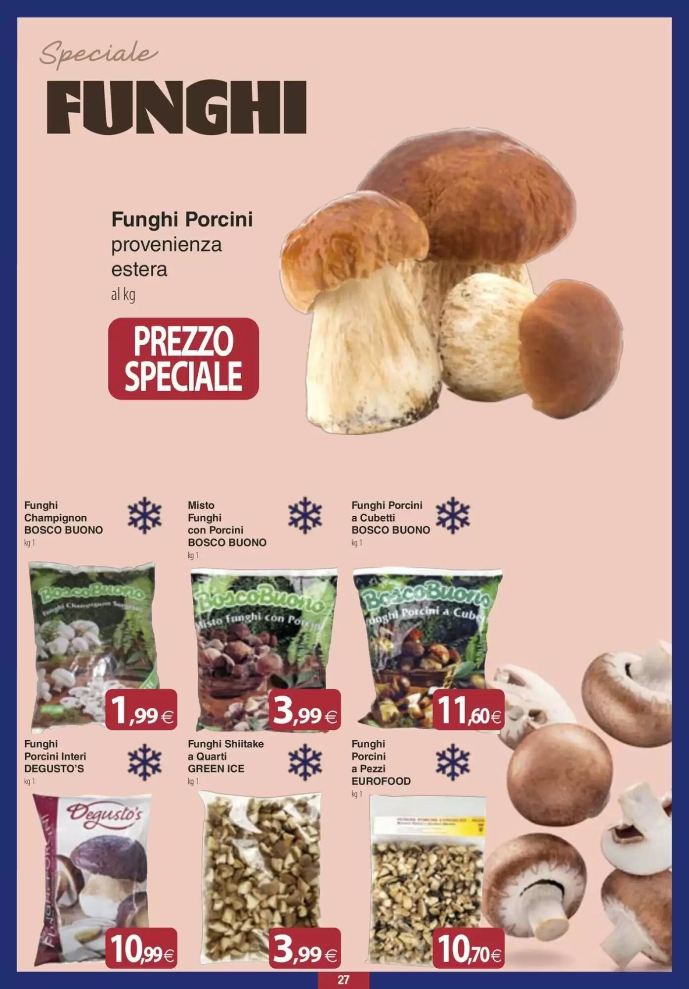 Volantino promozionale Docks Cash&Carry  valide dal 10/09/2026 - Pagina 27.