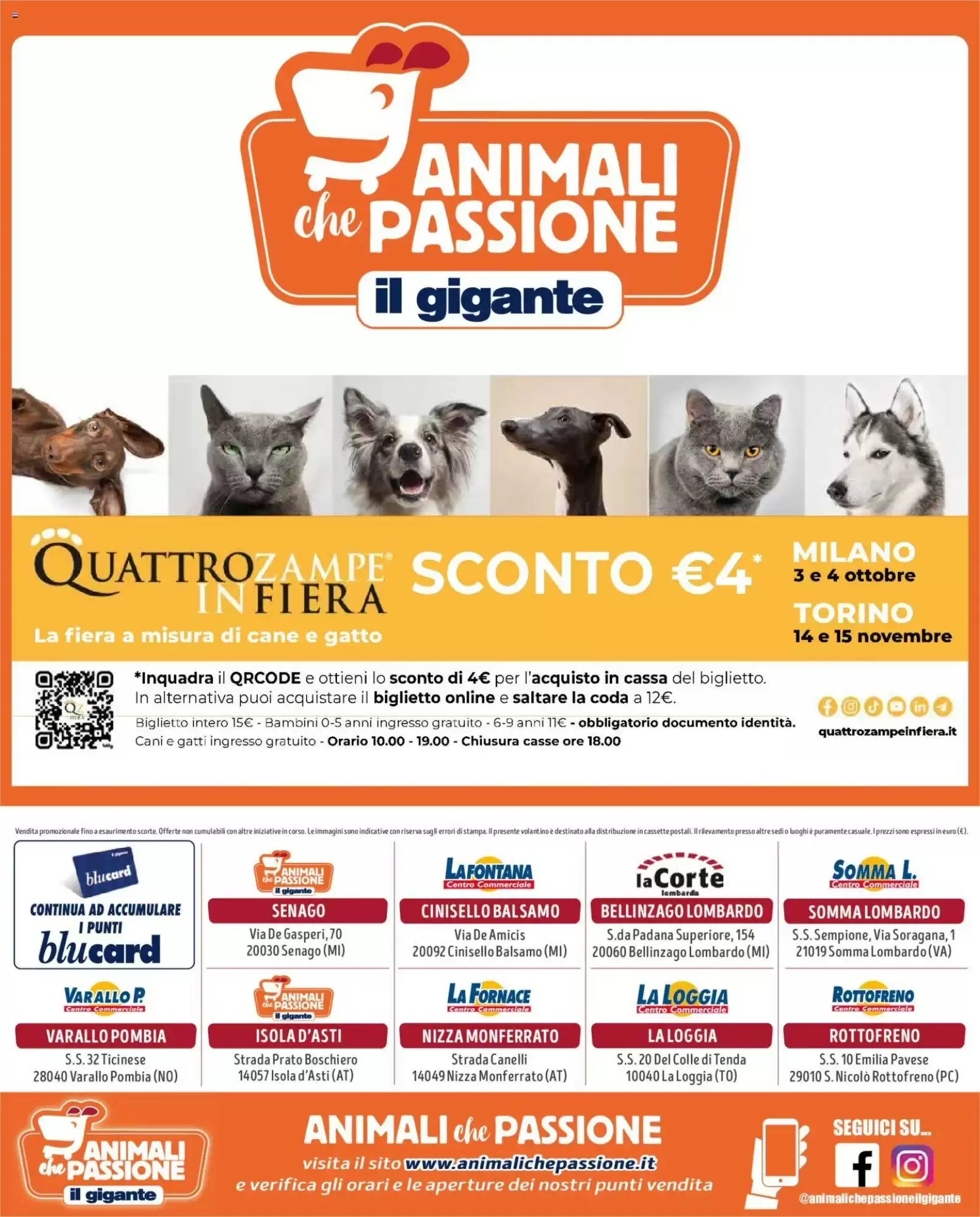Volantino promozionale Il Gigante  valide dal 10/09/2026 - Pagina 8.