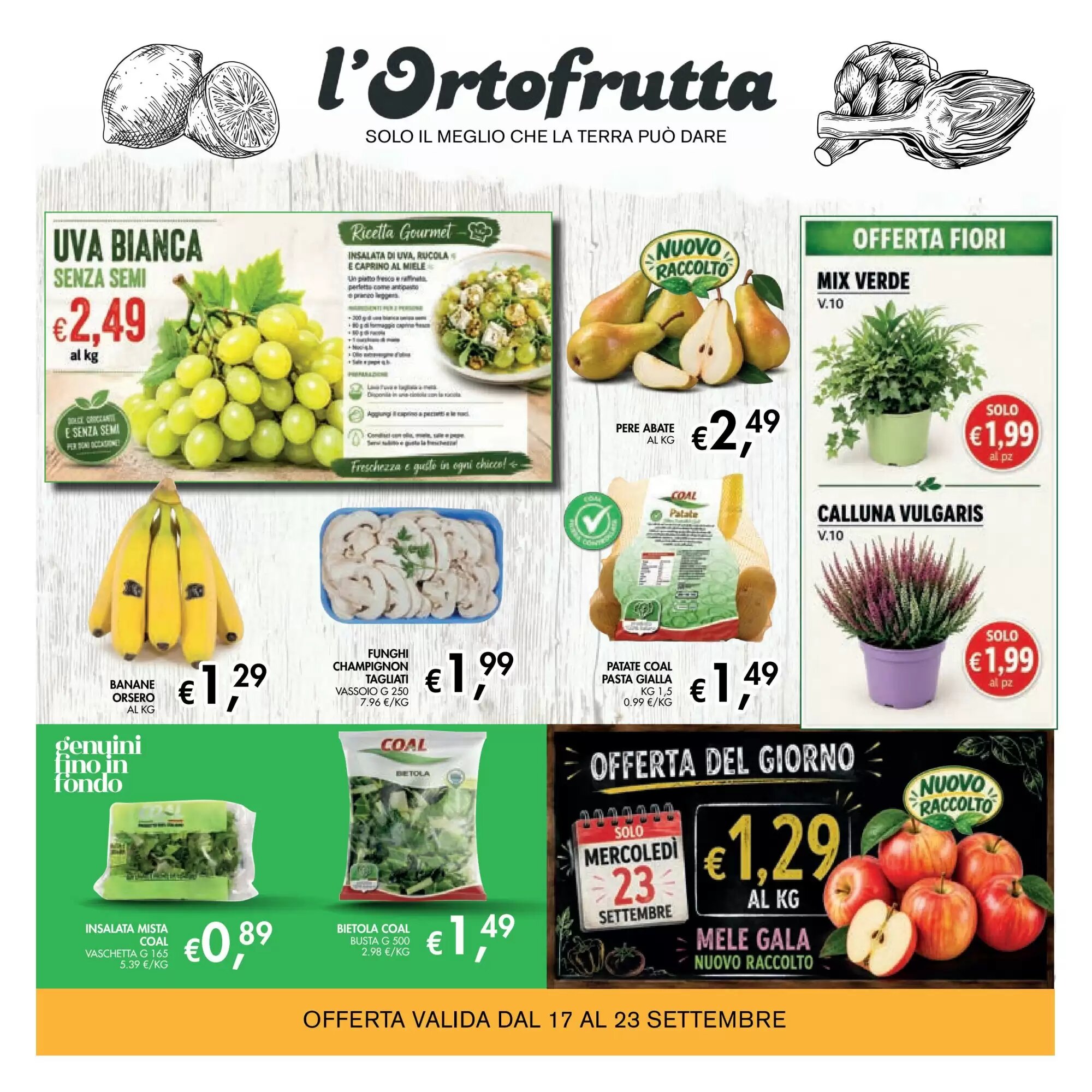 Volantino promozionale èccoMI  valide dal 10/09/2026 - Pagina 7.
