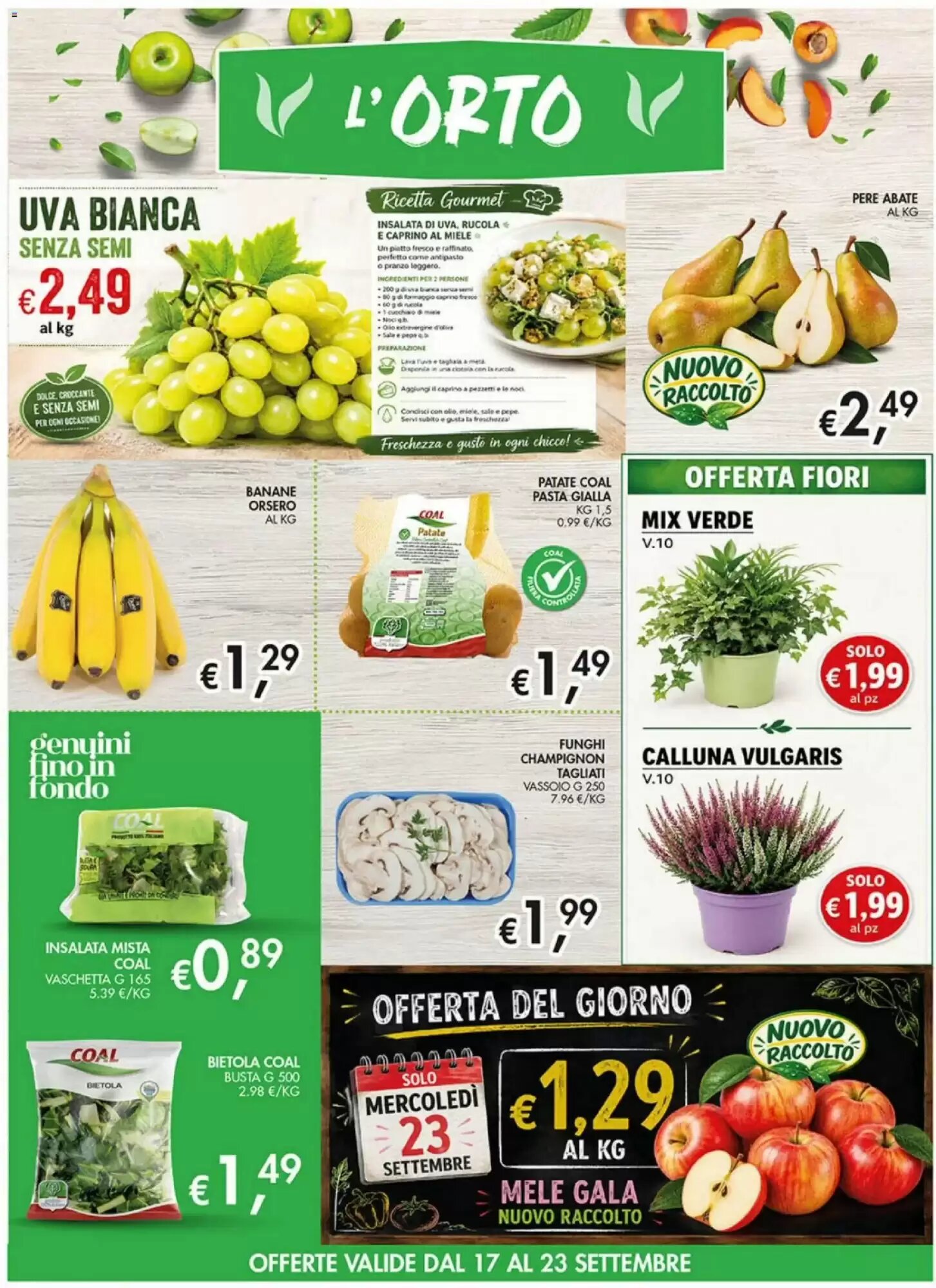 Volantino promozionale Coal  valide dal 10/09/2026 - Pagina 7.