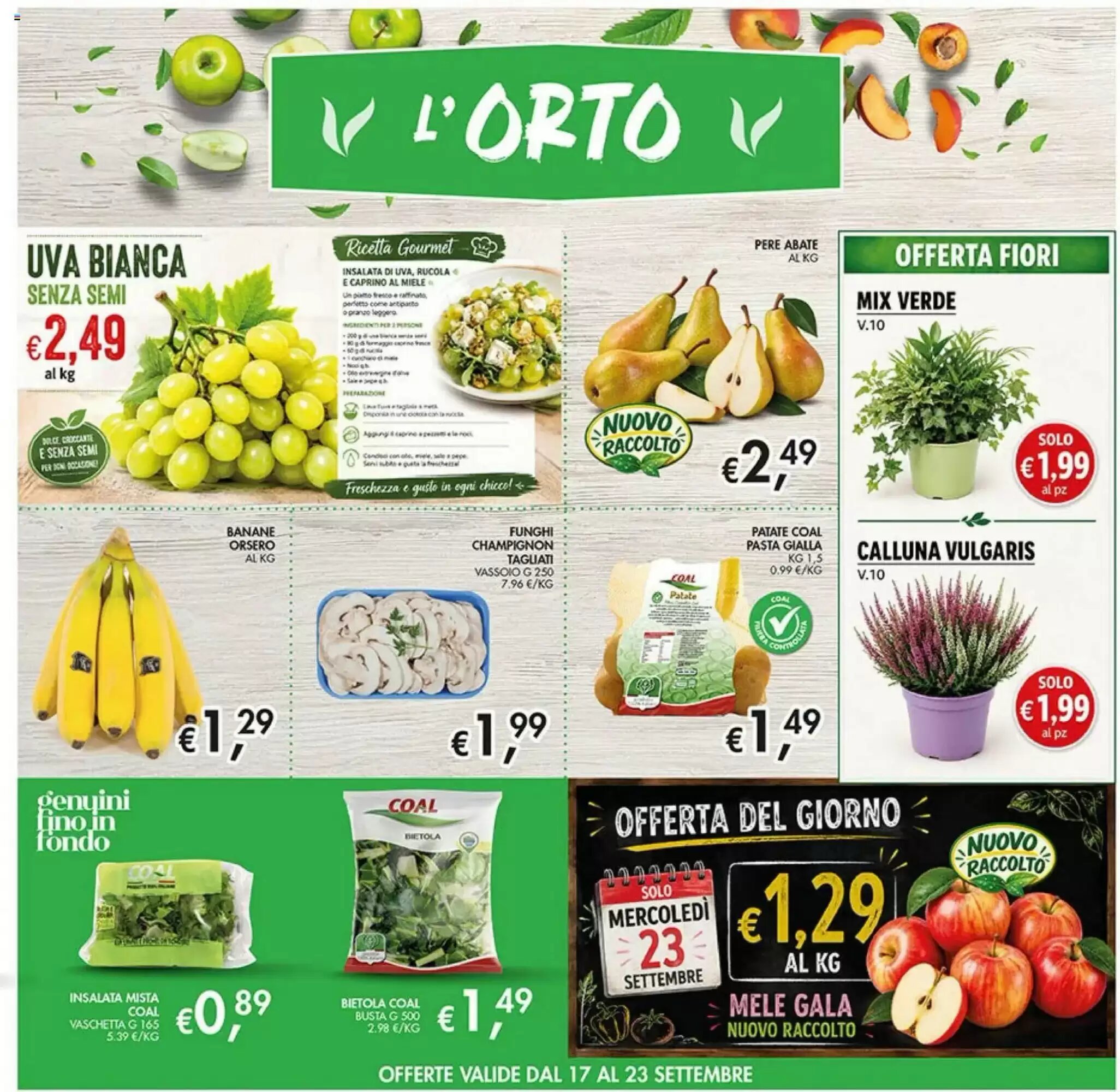 Volantino promozionale Coal  valide dal 10/09/2026 - Pagina 7.