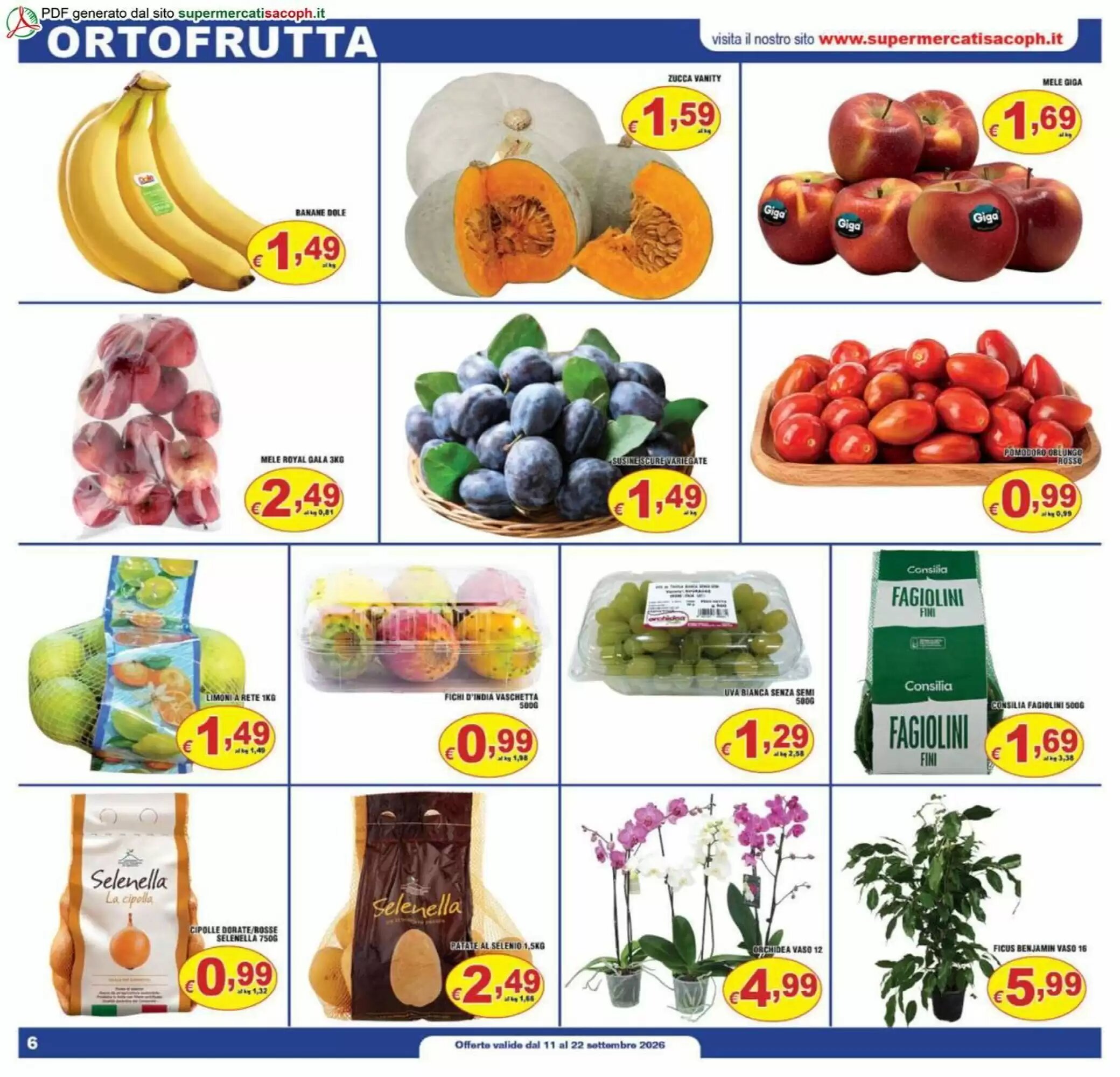 Volantino promozionale Sacoph  valide dal 11/09/2026 - Pagina 6.