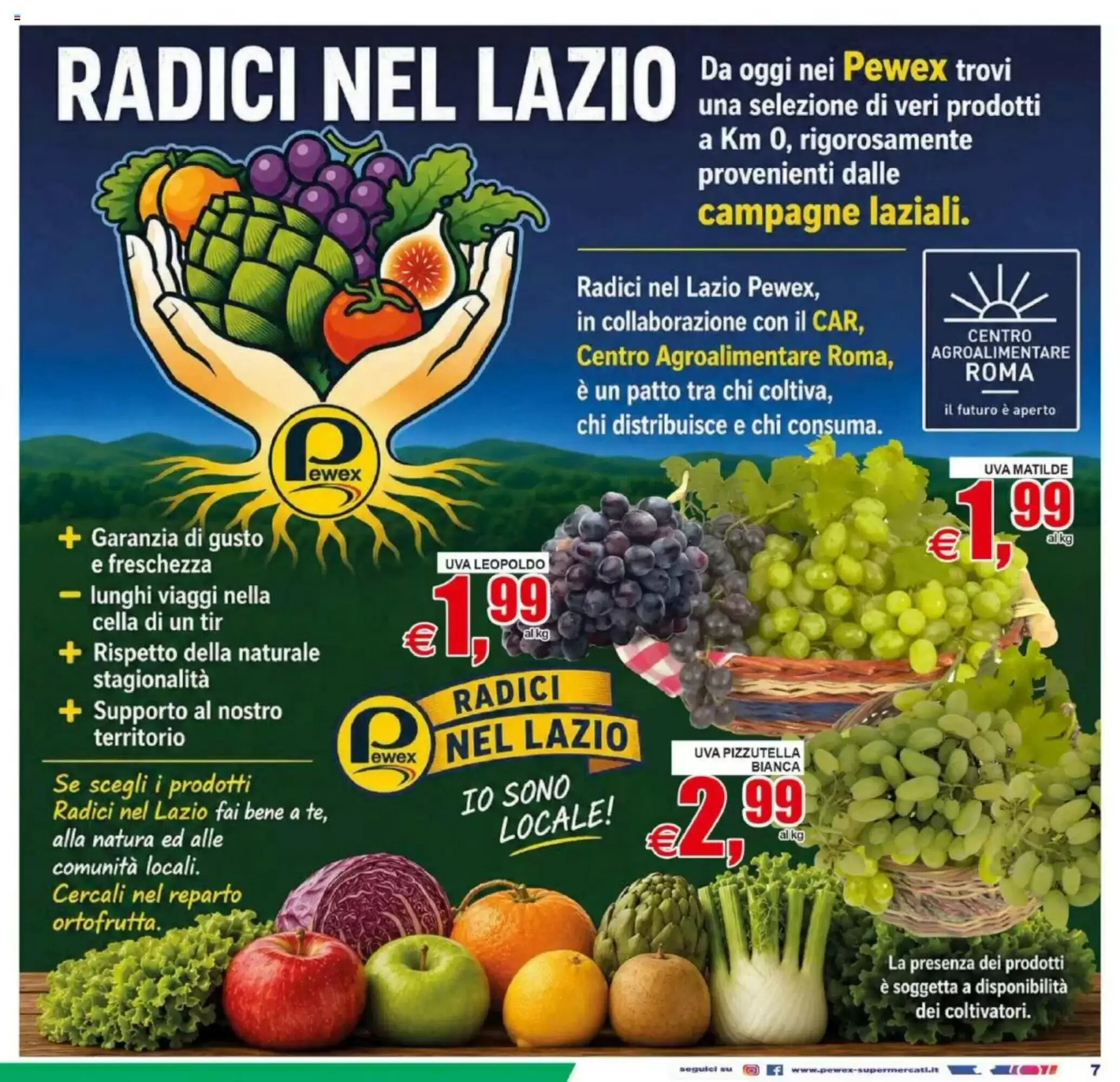Volantino promozionale Pewex  valide dal 11/09/2026 - Pagina 7.