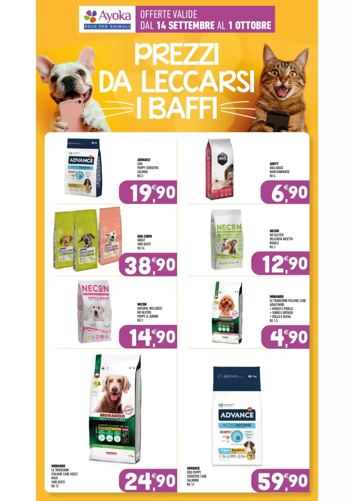 Volantino promozionale Ayoka  valide dal 14/09/2026 - Pagina 10.