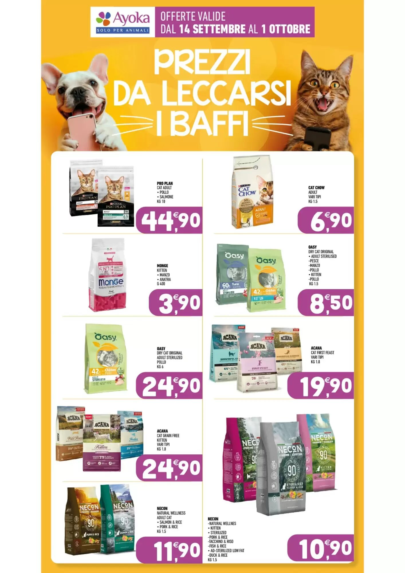 Volantino promozionale Ayoka  valide dal 14/09/2026 - Pagina 13.
