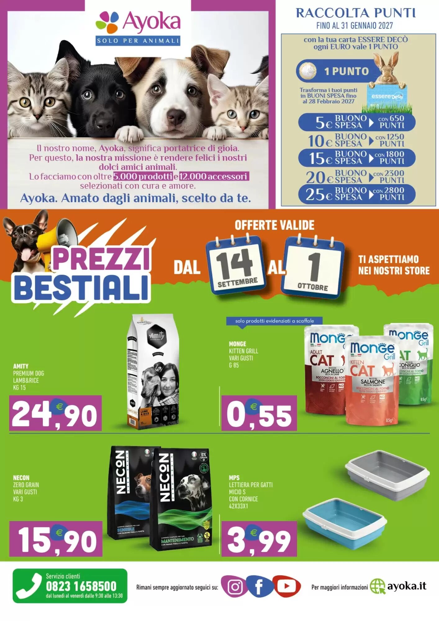 Volantino promozionale Ayoka  valide dal 14/09/2026 - Pagina 8.