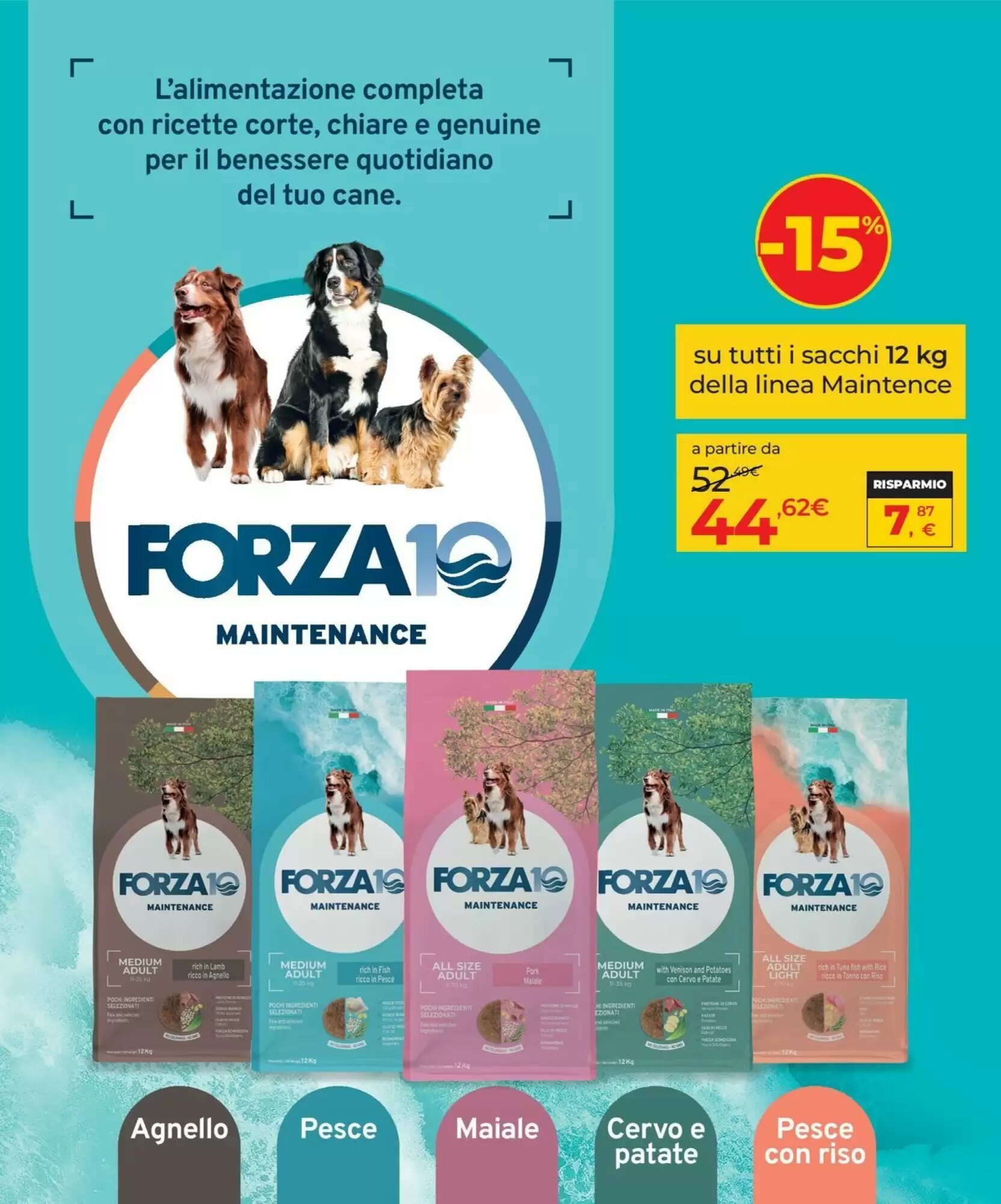 Volantino promozionale Arcaplanet  valide dal 17/09/2026 - Pagina 13.