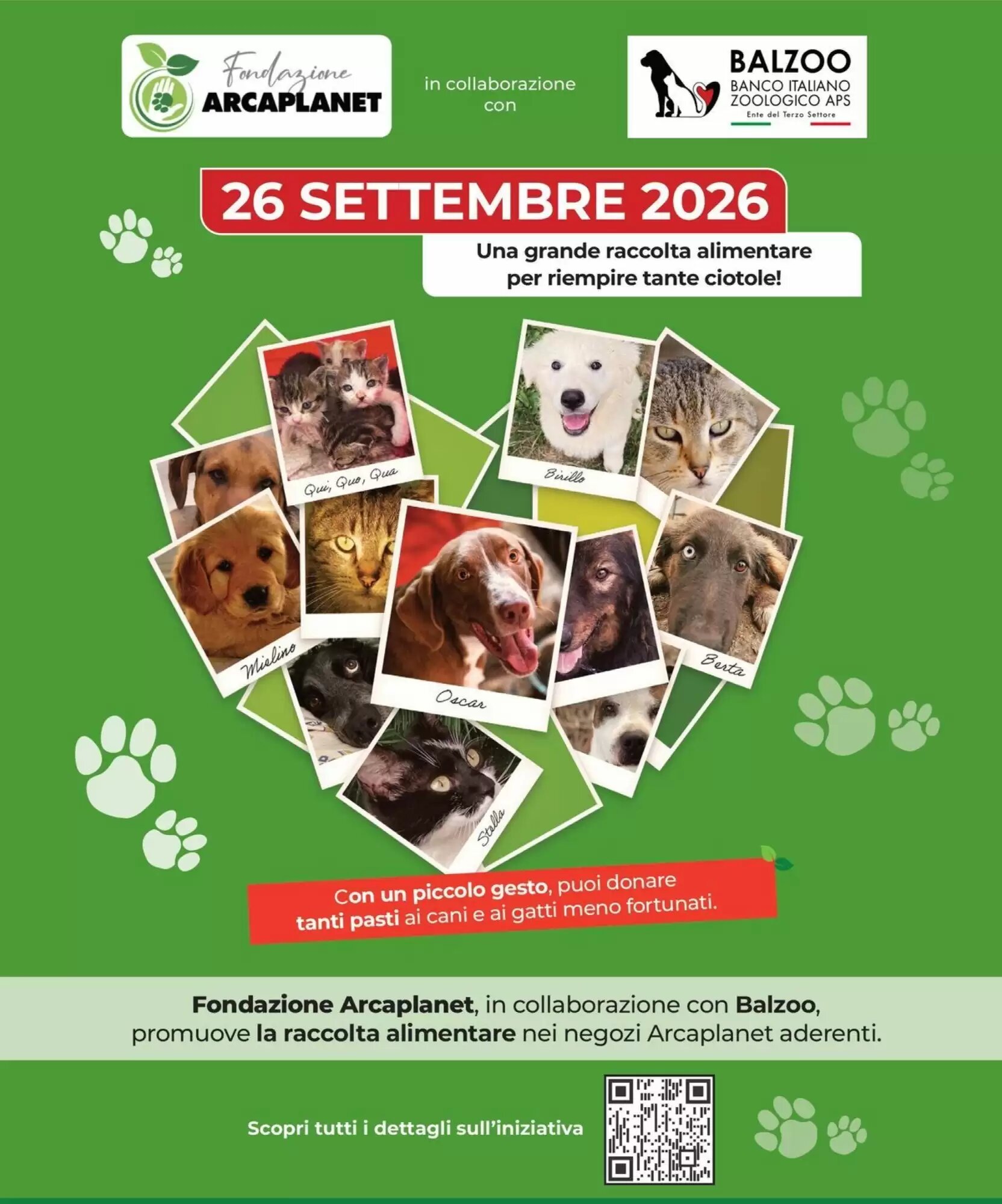 Volantino promozionale Arcaplanet  valide dal 17/09/2026 - Pagina 31.