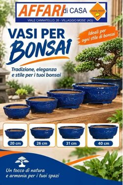 Volantino promozionale Affari di casa  valide dal 18/09/2026