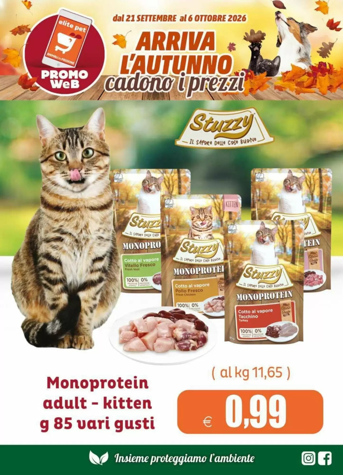 Volantino promozionale Elite Pet  valide dal 21/09/2026 - Pagina 10.