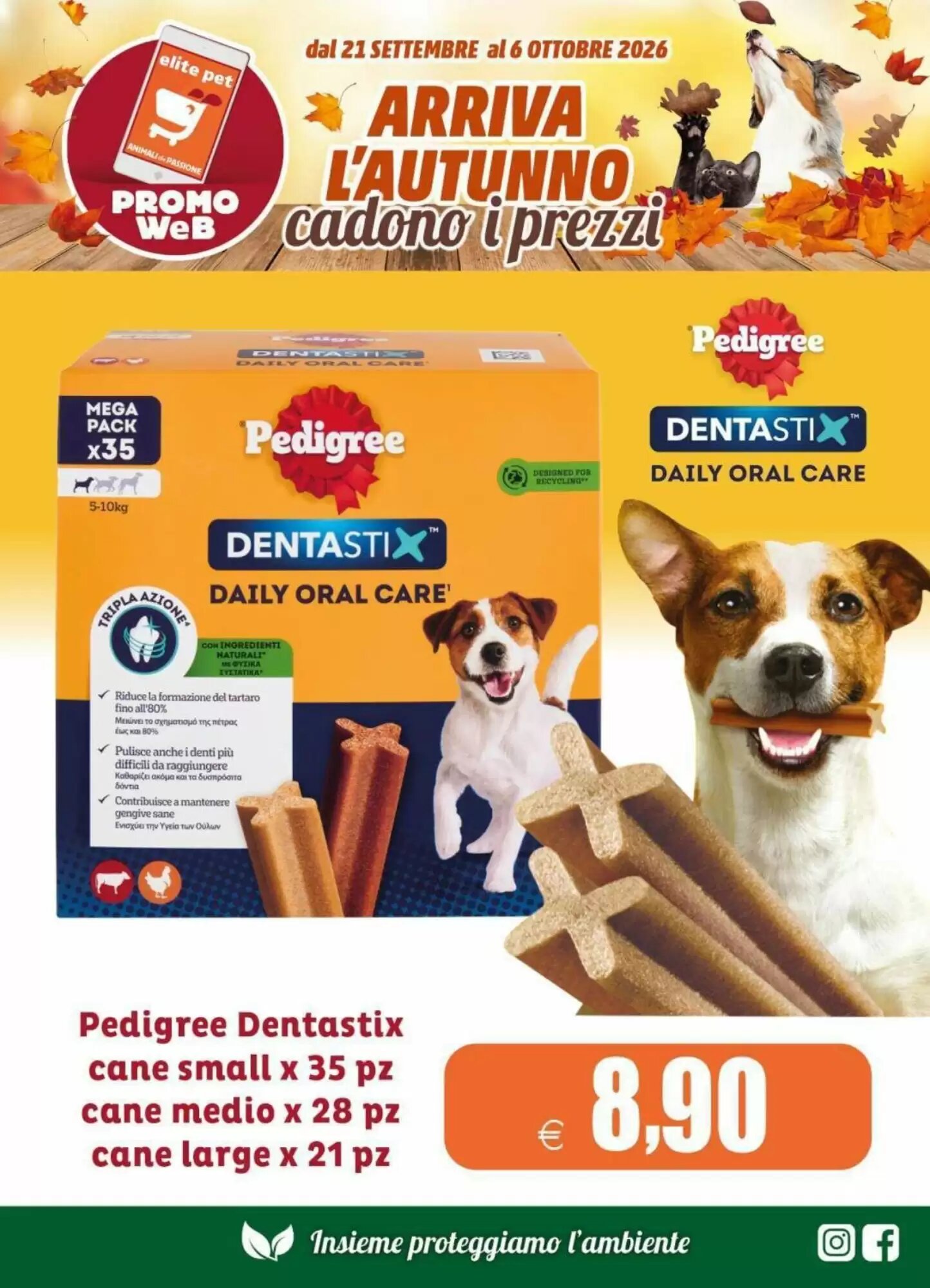 Volantino promozionale Elite Pet  valide dal 21/09/2026 - Pagina 13.