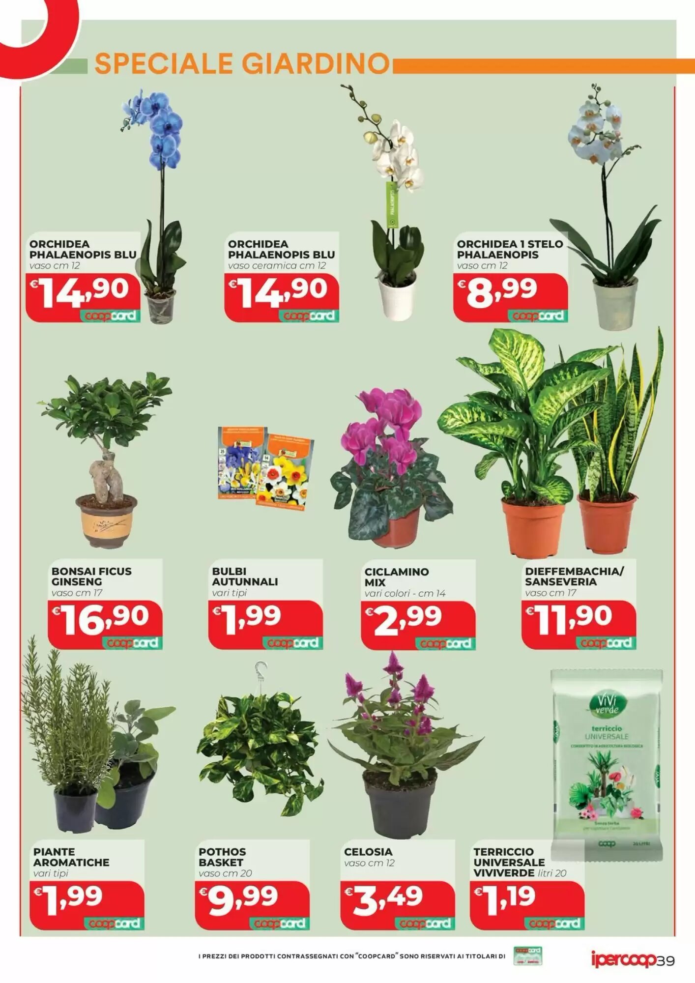 Volantino promozionale Coop Master Alleanza 3.0  valide dal 22/09/2026 - Pagina 42.