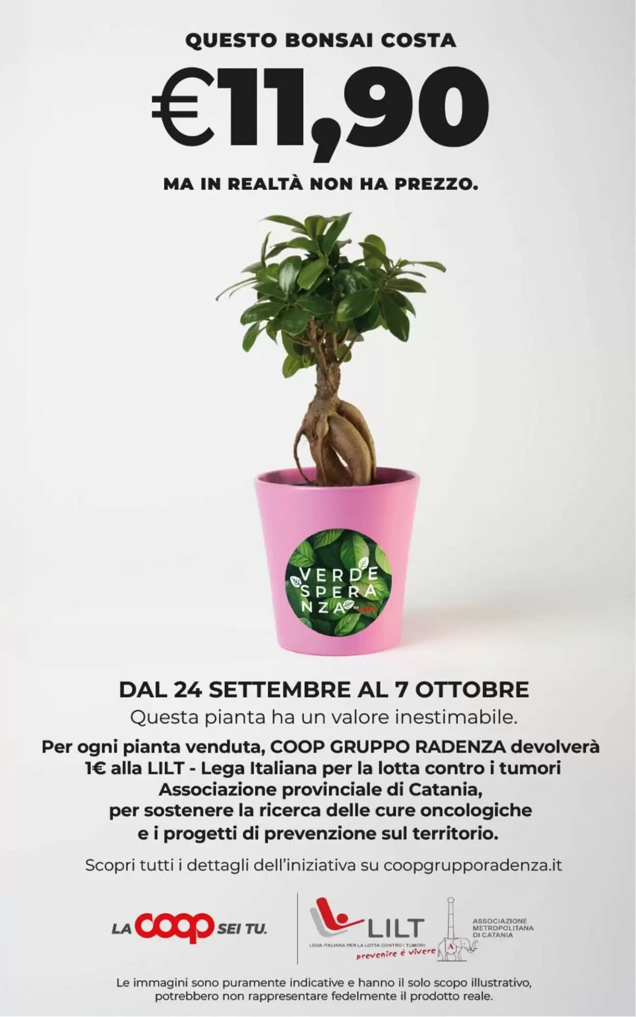 Volantino promozionale Coop  valide dal 22/09/2026 - Pagina 42.