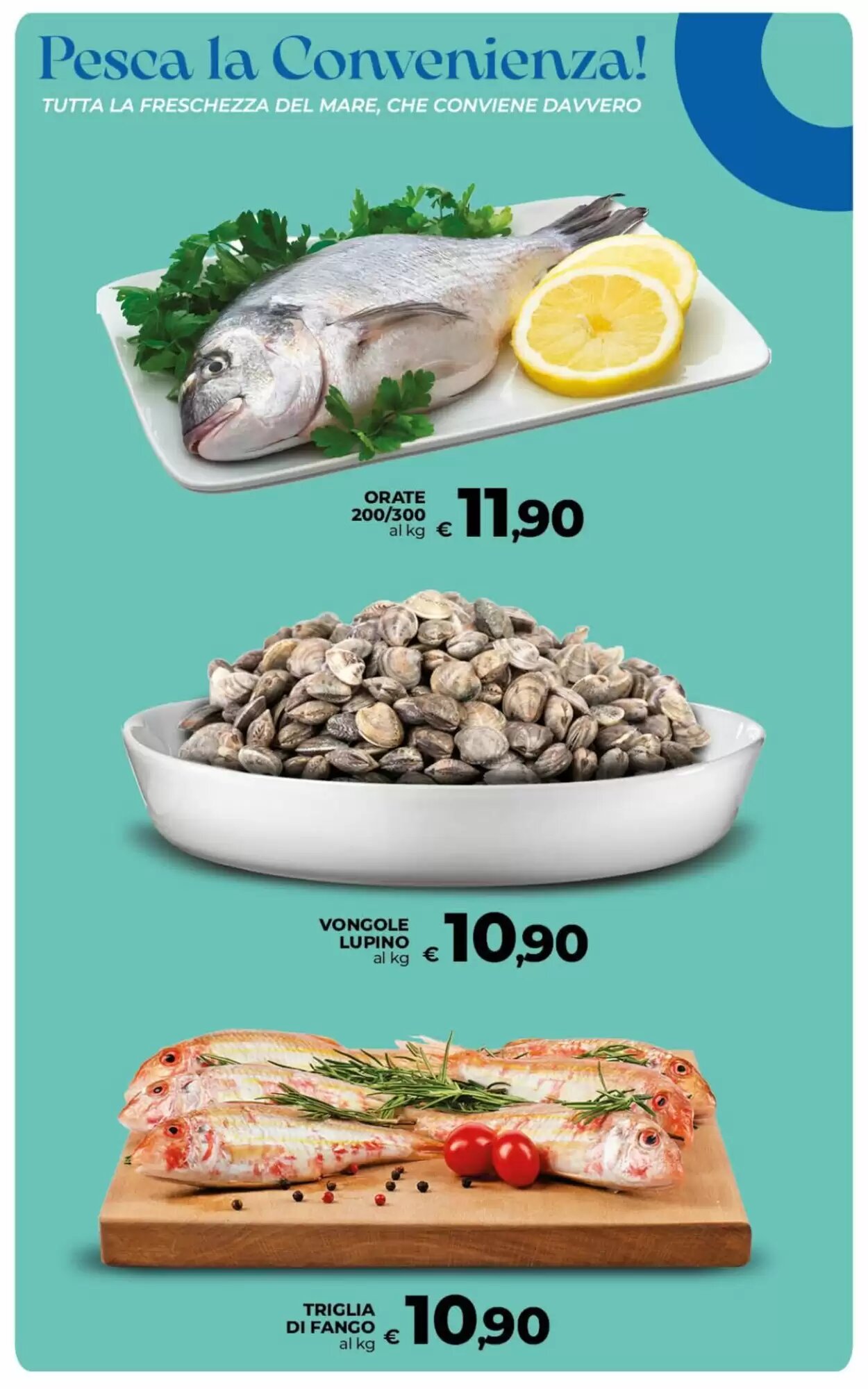 Volantino promozionale Ipercoop  valide dal 22/09/2026 - Pagina 23.