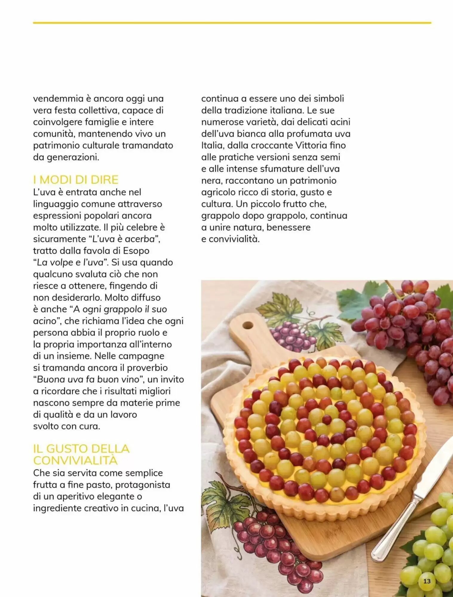 Volantino promozionale Basko  valide dal 22/09/2026 - Pagina 13.