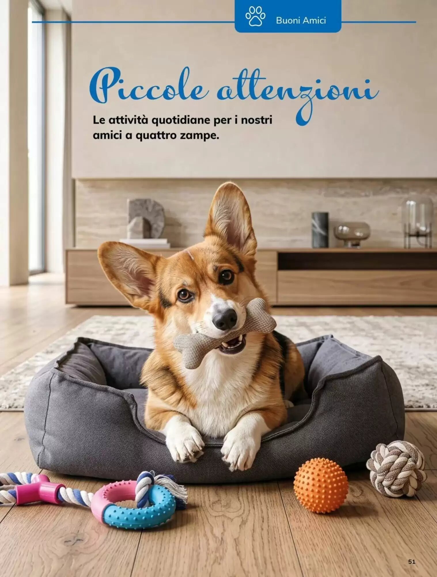 Volantino promozionale Basko  valide dal 22/09/2026 - Pagina 51.