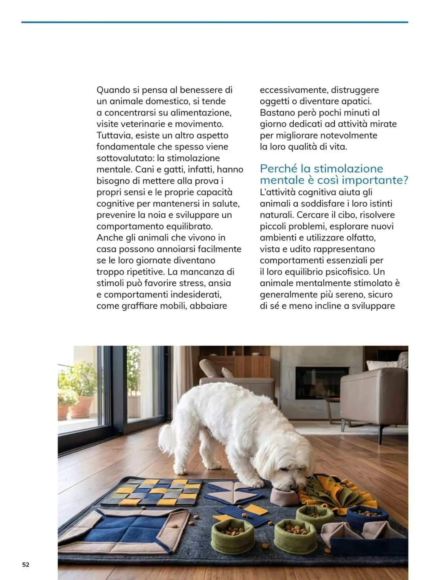 Volantino promozionale Basko  valide dal 22/09/2026 - Pagina 52.