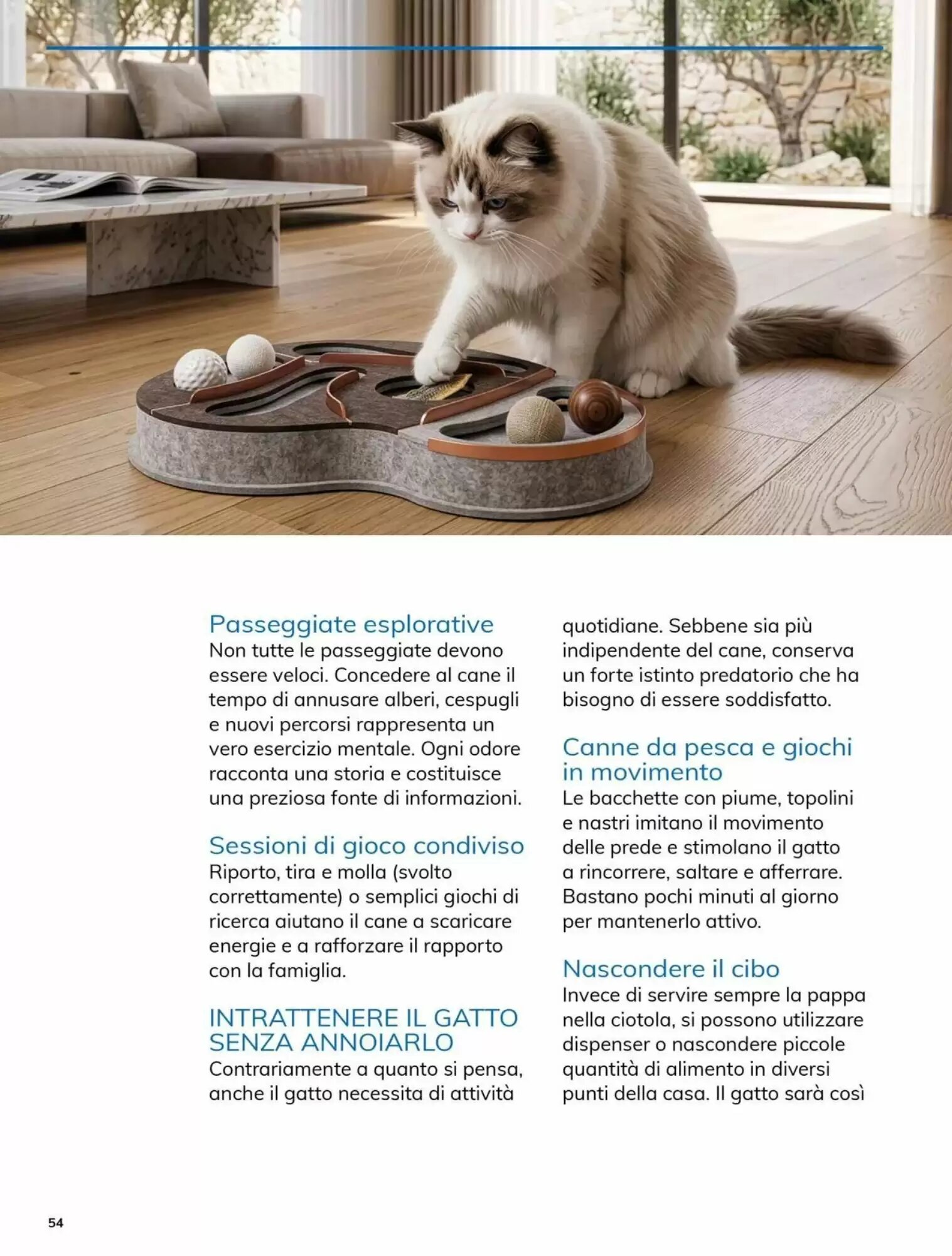 Volantino promozionale Basko  valide dal 22/09/2026 - Pagina 54.