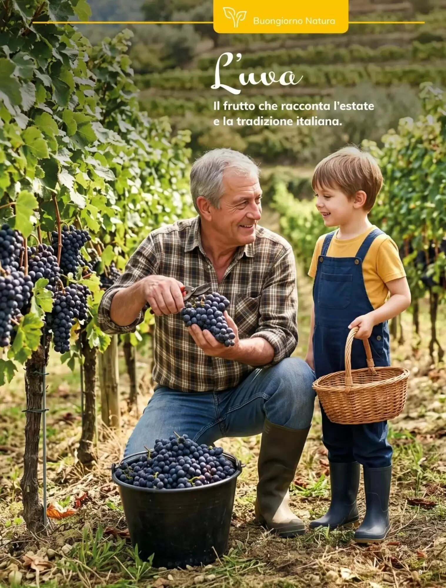 Volantino promozionale Basko  valide dal 22/09/2026 - Pagina 9.