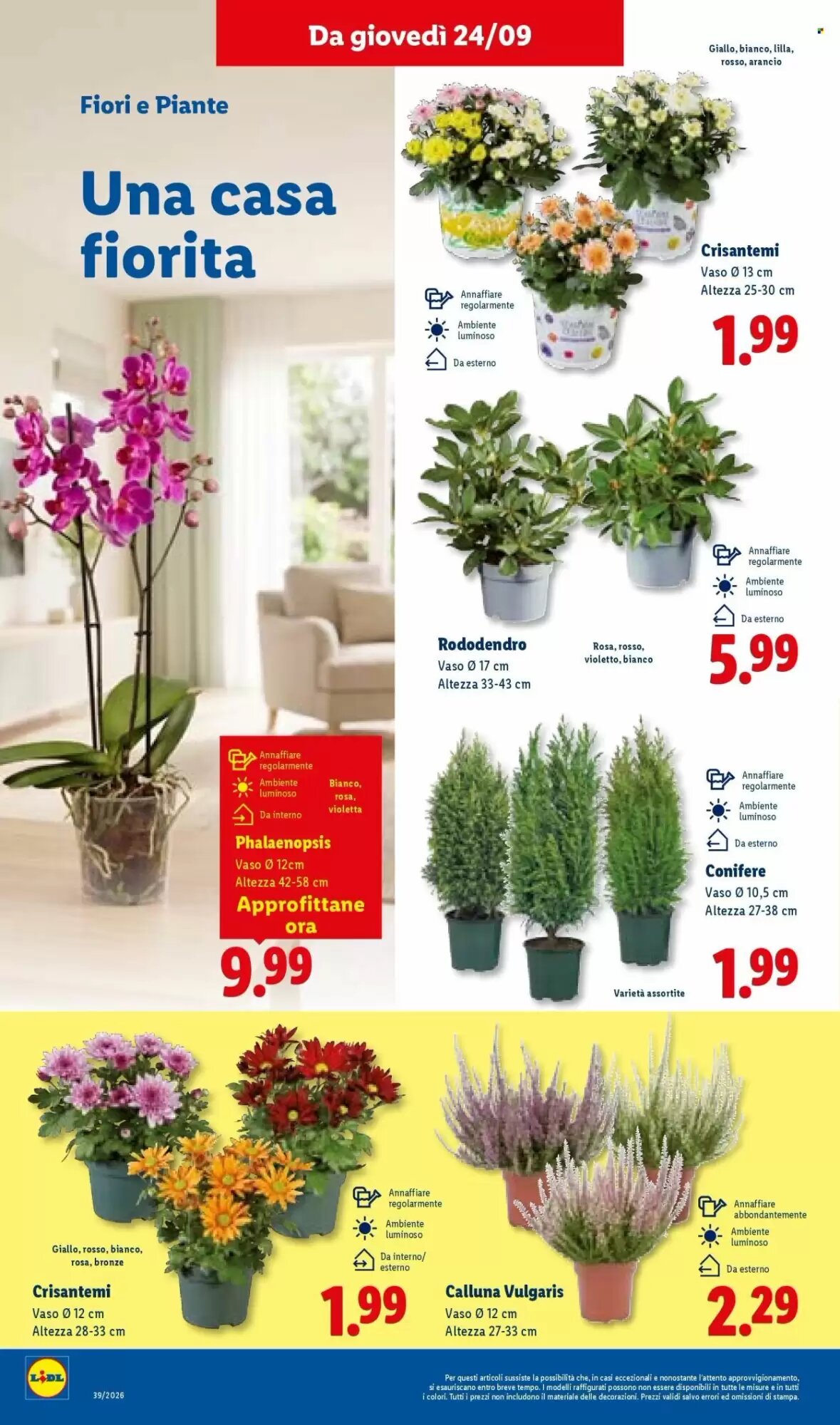 Volantino promozionale Lidl  valide dal 24/09/2026 - Pagina 42.