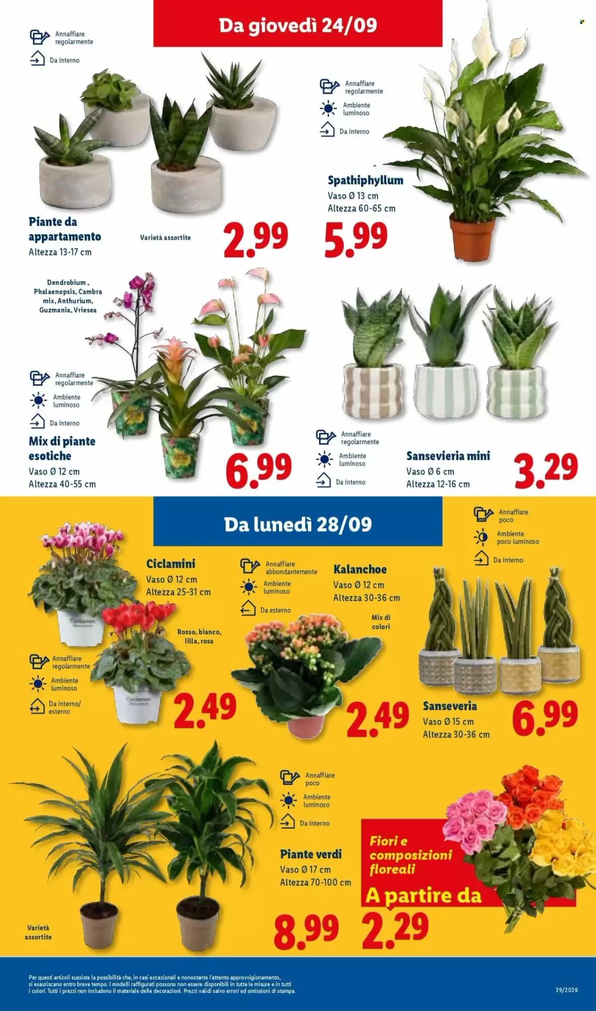 Volantino promozionale Lidl  valide dal 24/09/2026 - Pagina 43.
