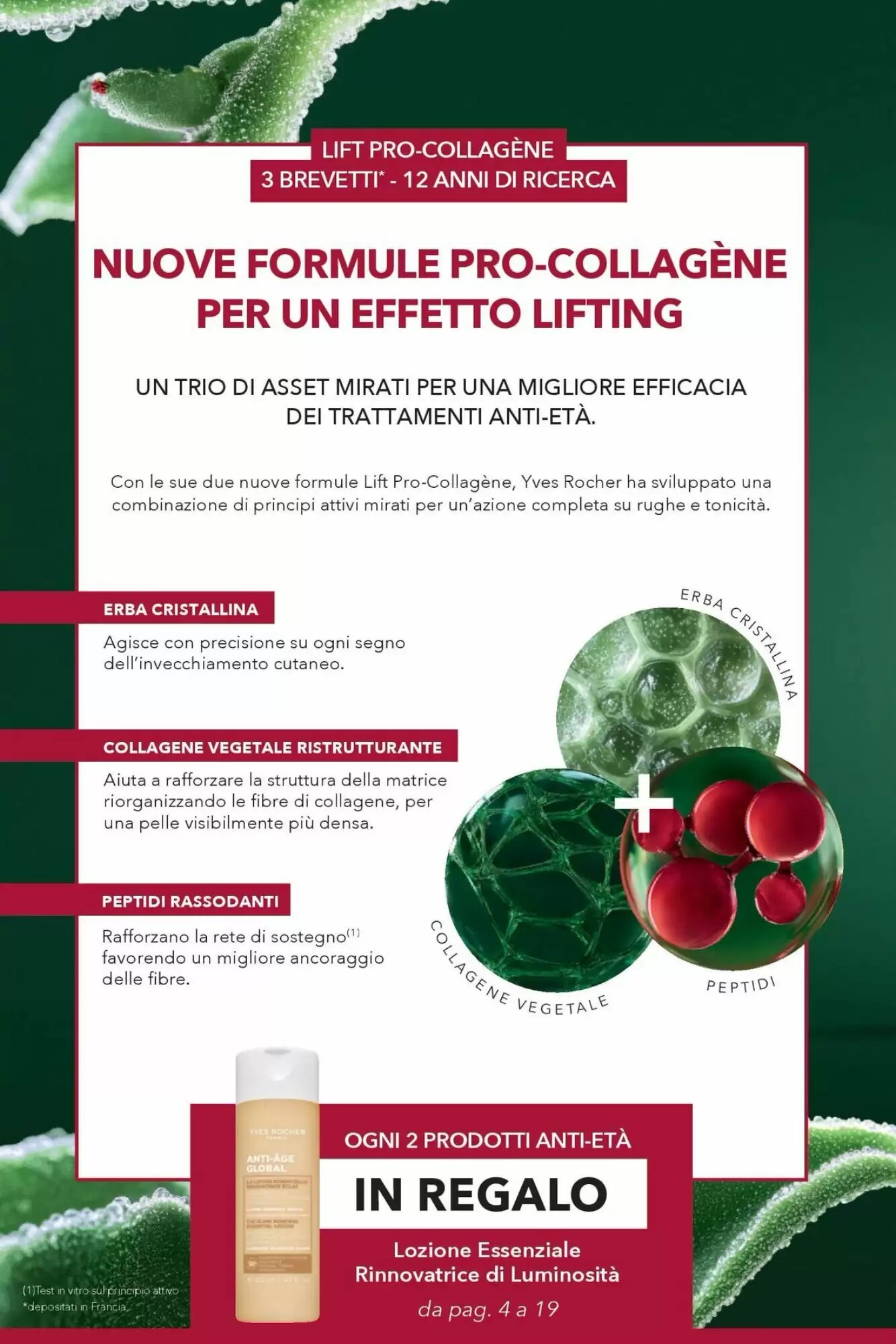 Volantino promozionale Yves Rocher  valide dal 24/09/2026 - Pagina 4.