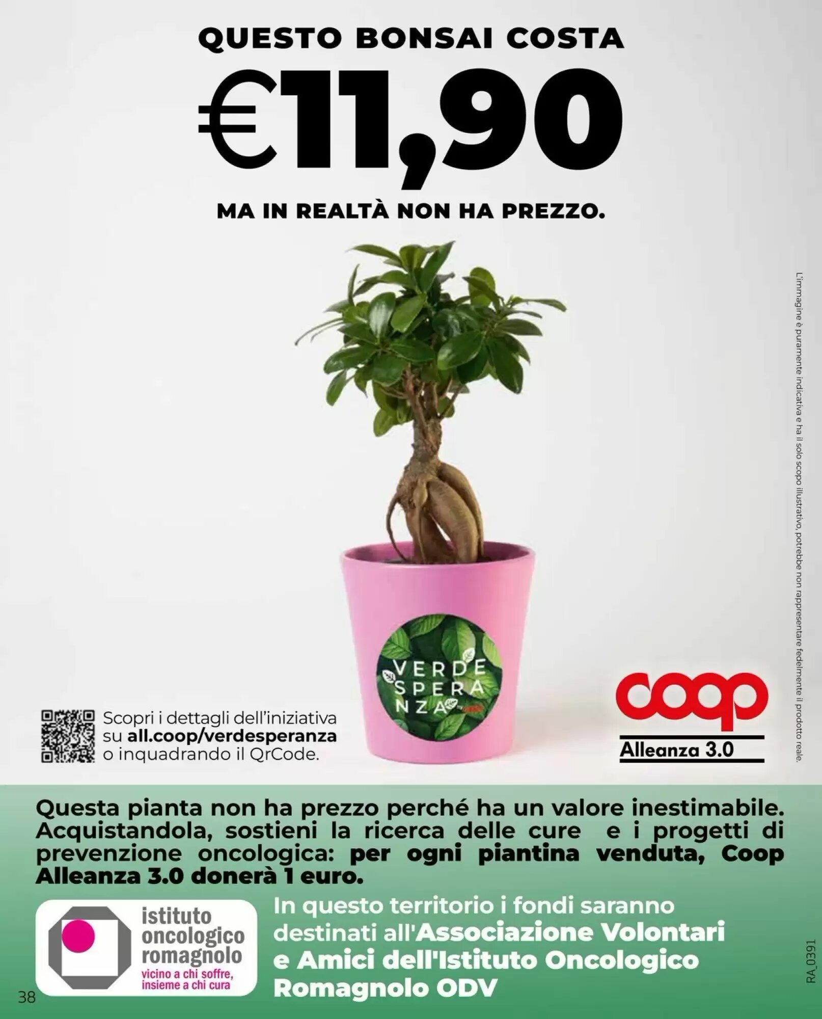 Volantino promozionale Coop  valide dal 24/09/2026 - Pagina 38.