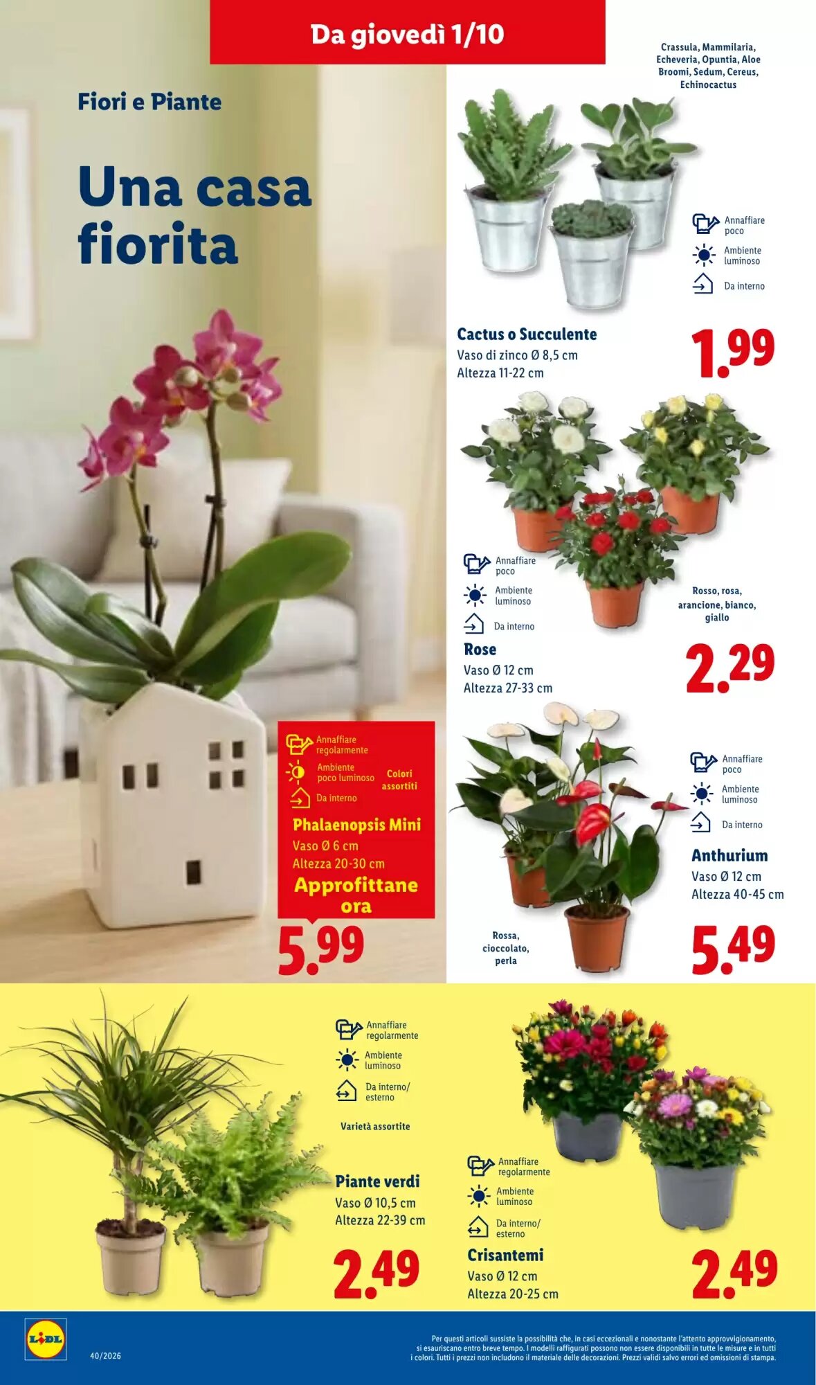 Volantino promozionale Lidl  valide dal 01/10/2026 - Pagina 30.