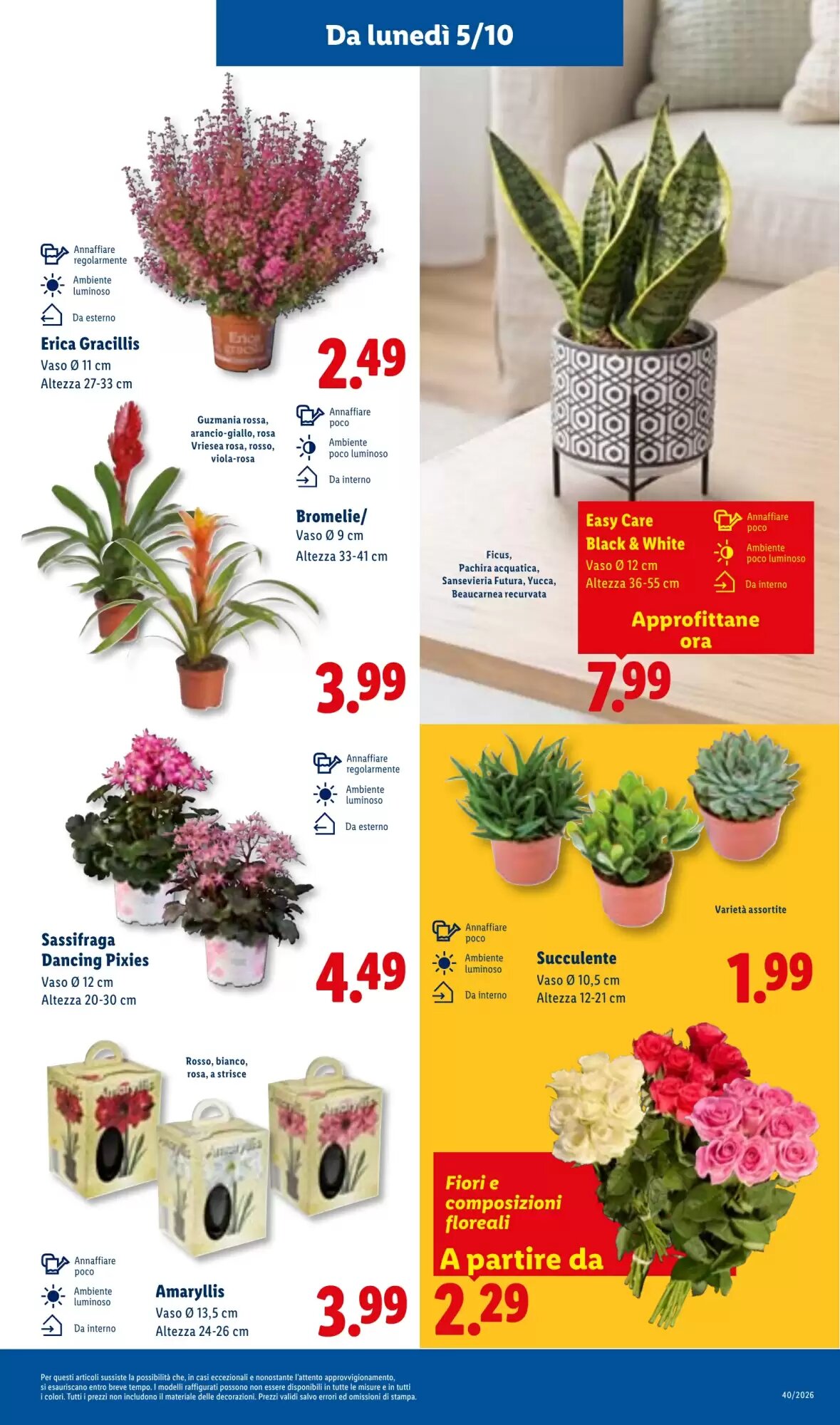 Volantino promozionale Lidl  valide dal 01/10/2026 - Pagina 31.