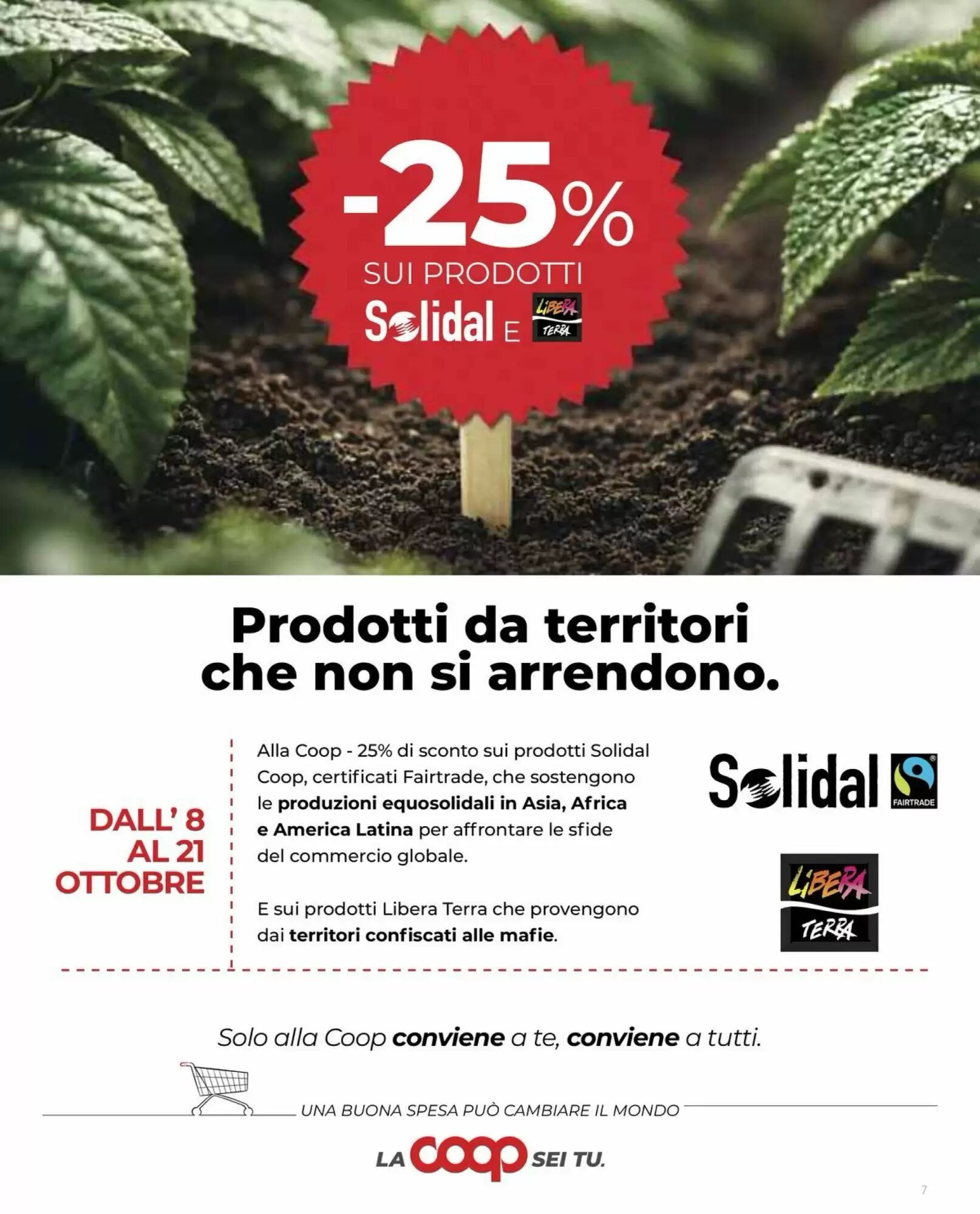 Volantino promozionale Coop  valide dal 01/10/2026 - Pagina 7.
