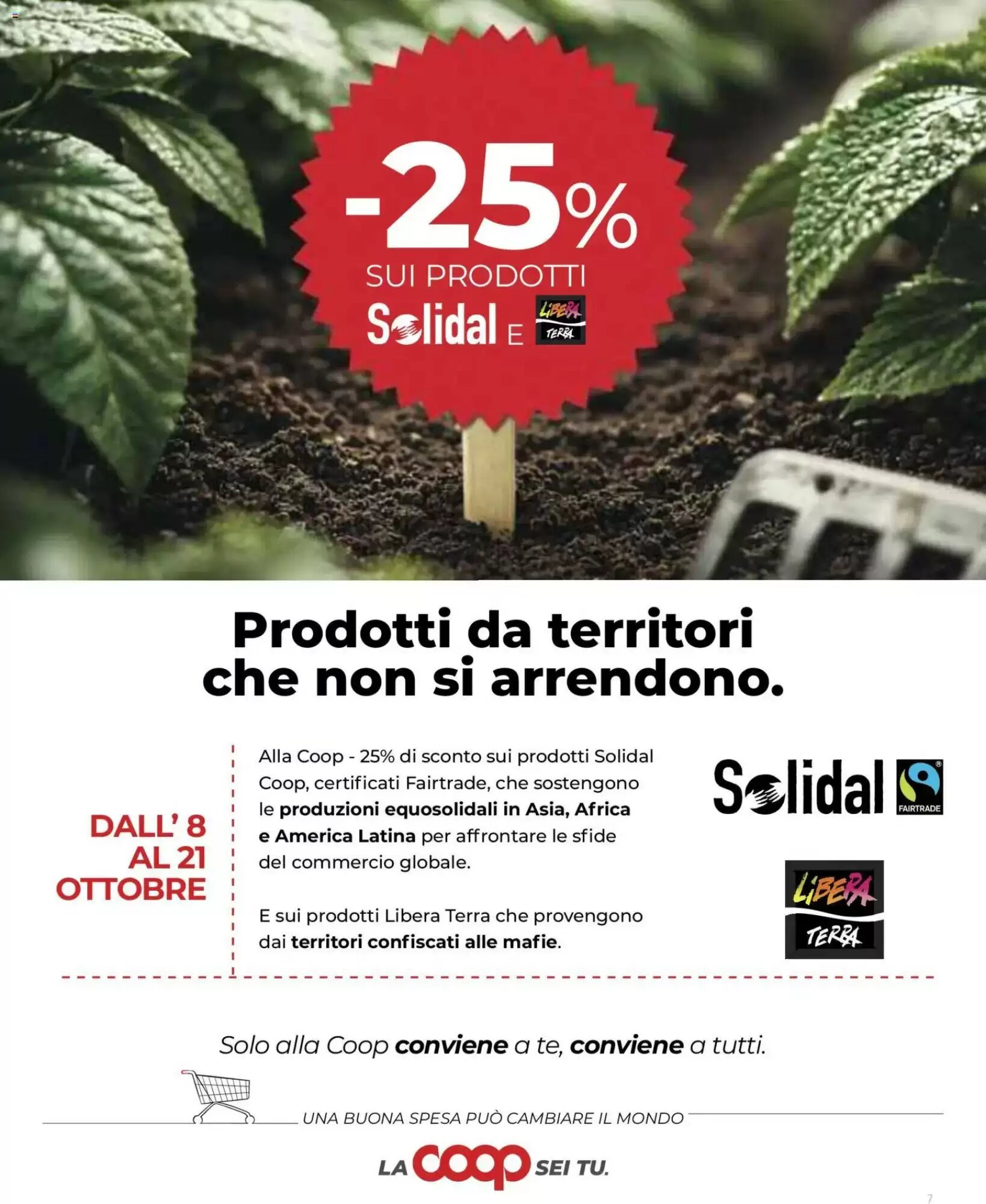 Volantino promozionale Coop Superstore  valide dal 01/10/2026 - Pagina 7.