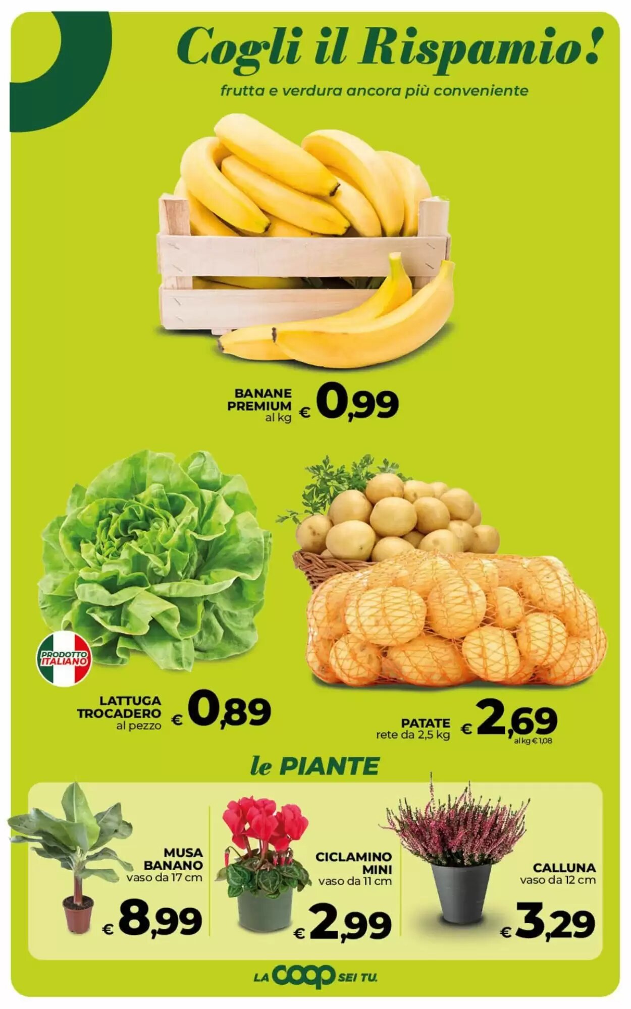 Volantino promozionale Ipercoop  valide dal 02/10/2026 - Pagina 25.