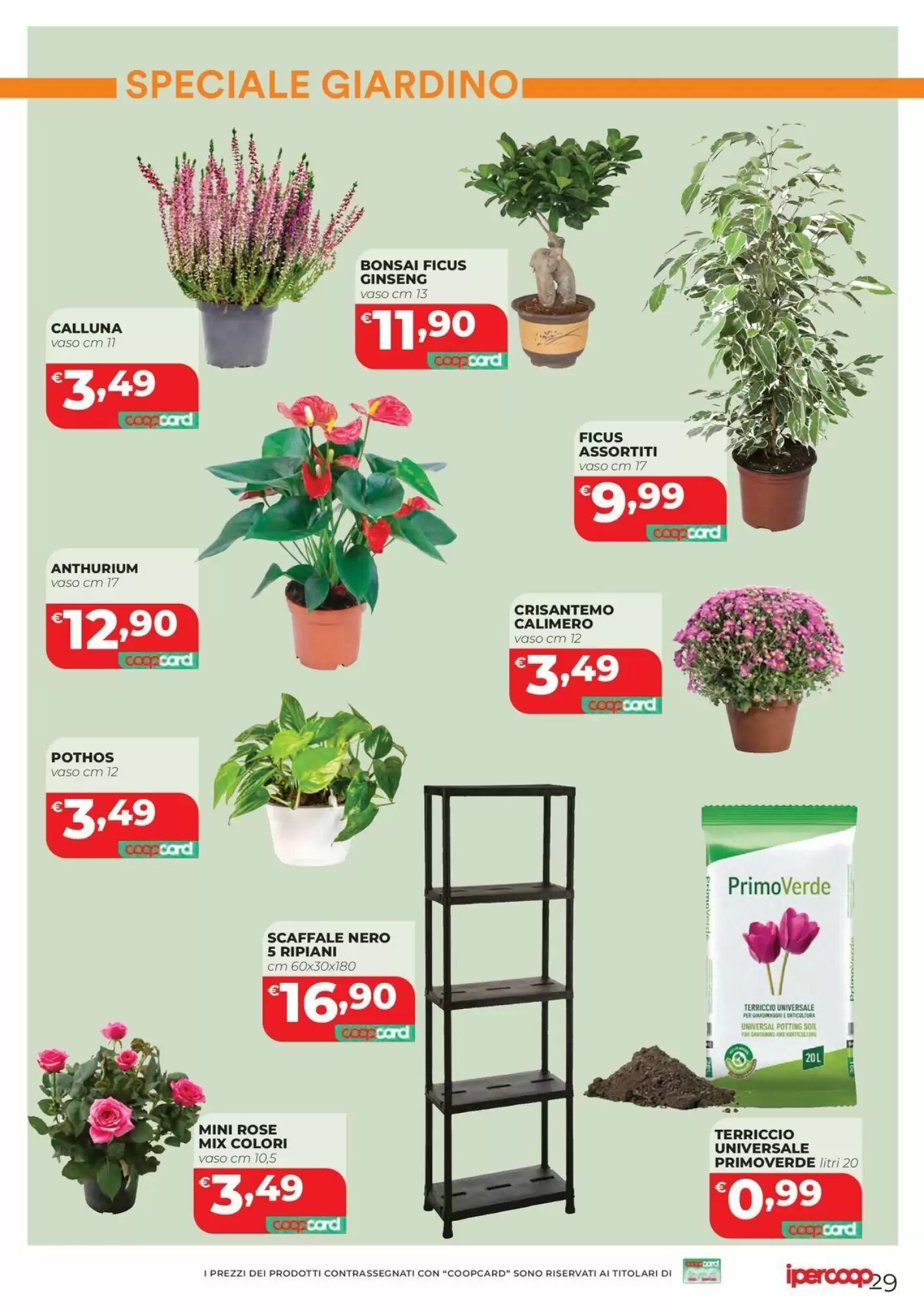 Volantino promozionale Coop Master Alleanza 3.0  valide dal 02/10/2026 - Pagina 31.