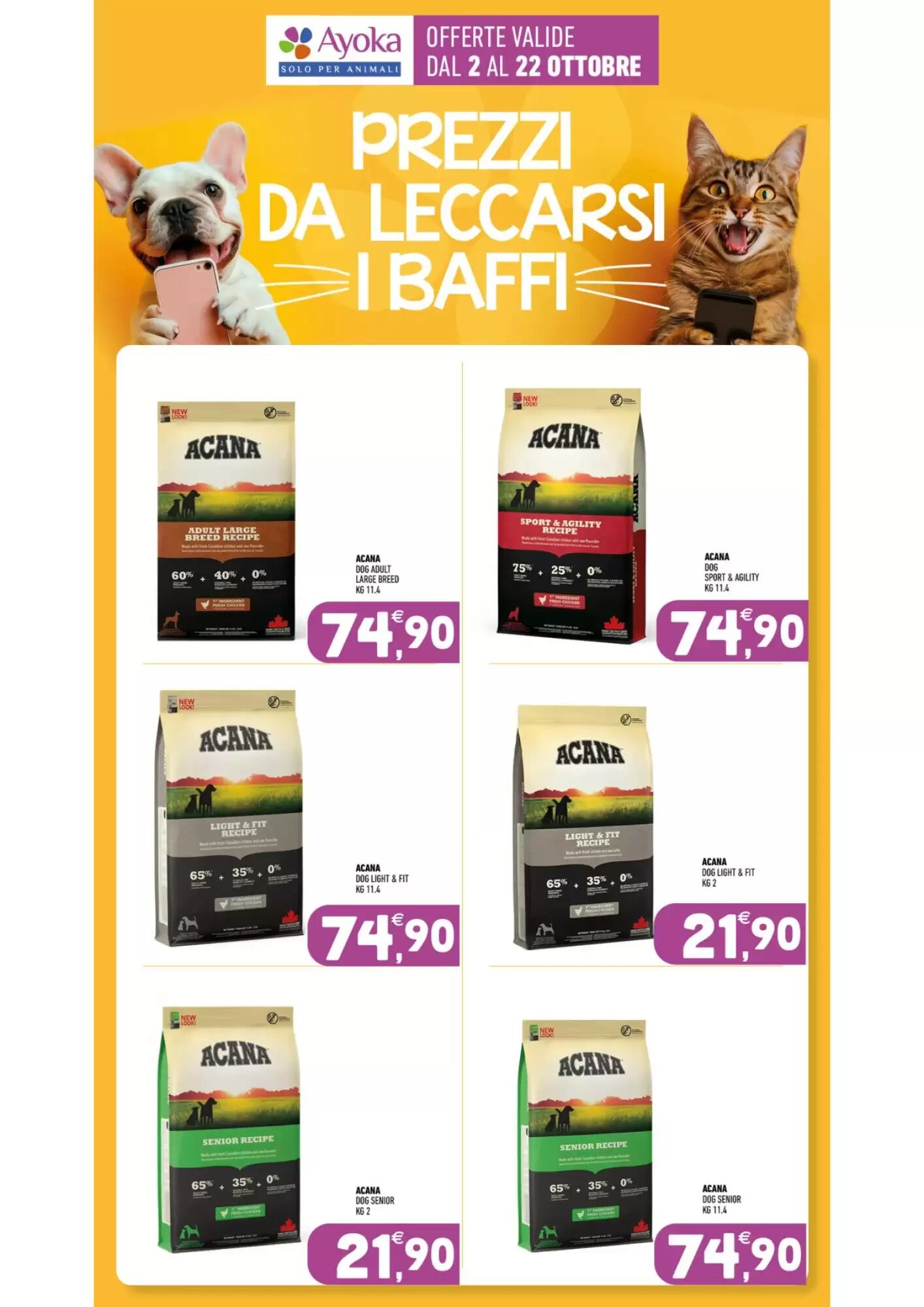 Volantino promozionale Ayoka  valide dal 02/10/2026 - Pagina 16.