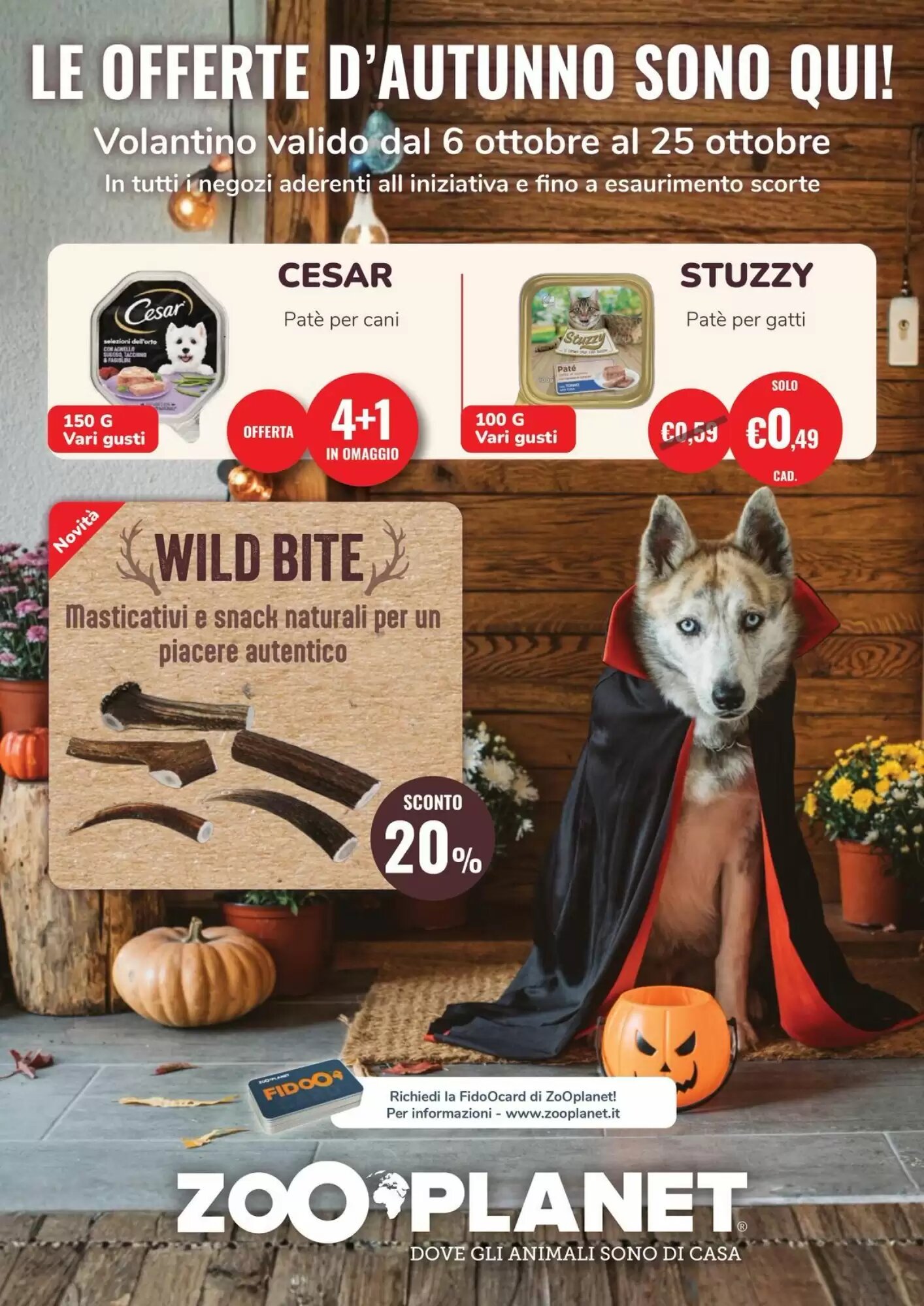 Volantino promozionale ZooPlanet  valide dal 06/10/2026 - Pagina 1.