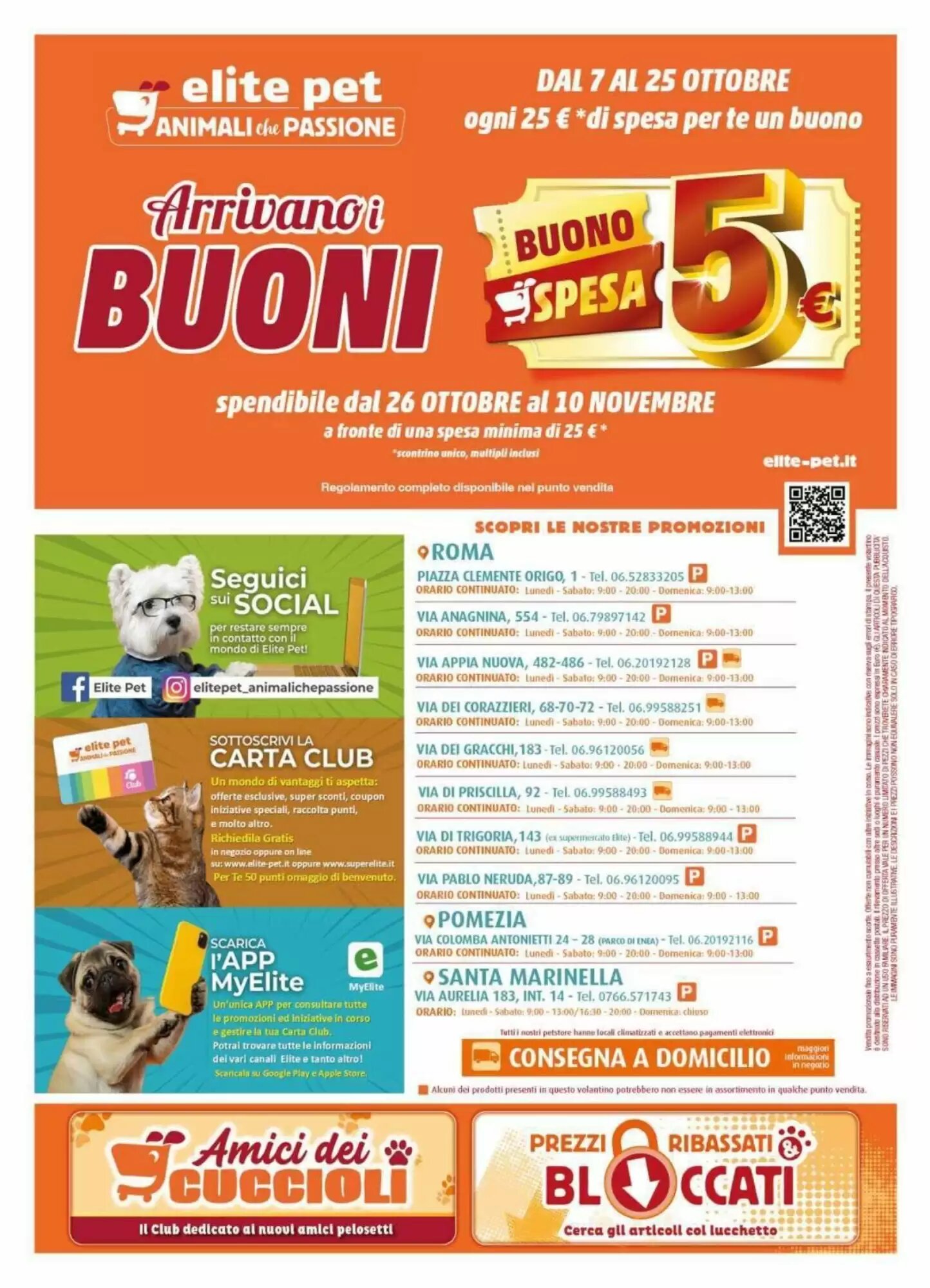 Volantino promozionale Elite Pet  valide dal 07/10/2026 - Pagina 16.