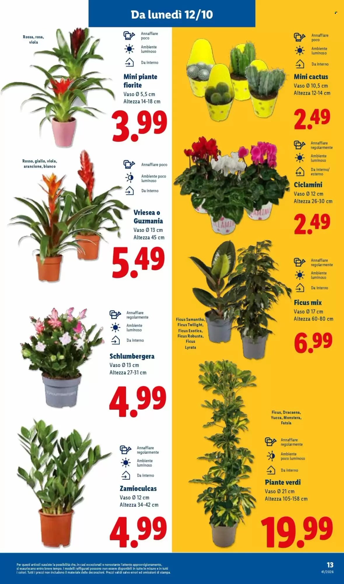 Volantino promozionale Lidl  valide dal 08/10/2026 - Pagina 33.