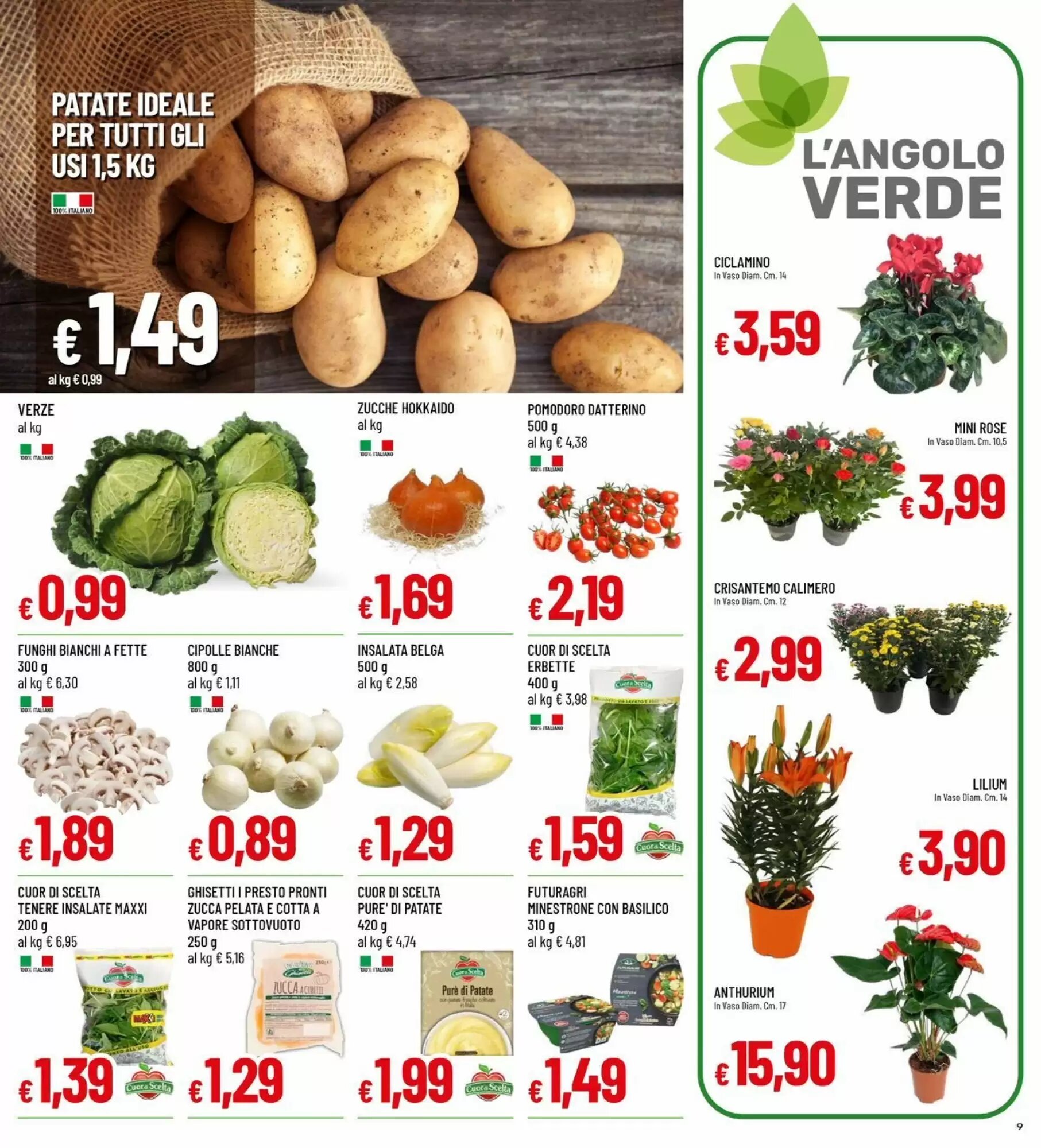 Volantino promozionale IperFamila  valide dal 08/10/2026 - Pagina 9.