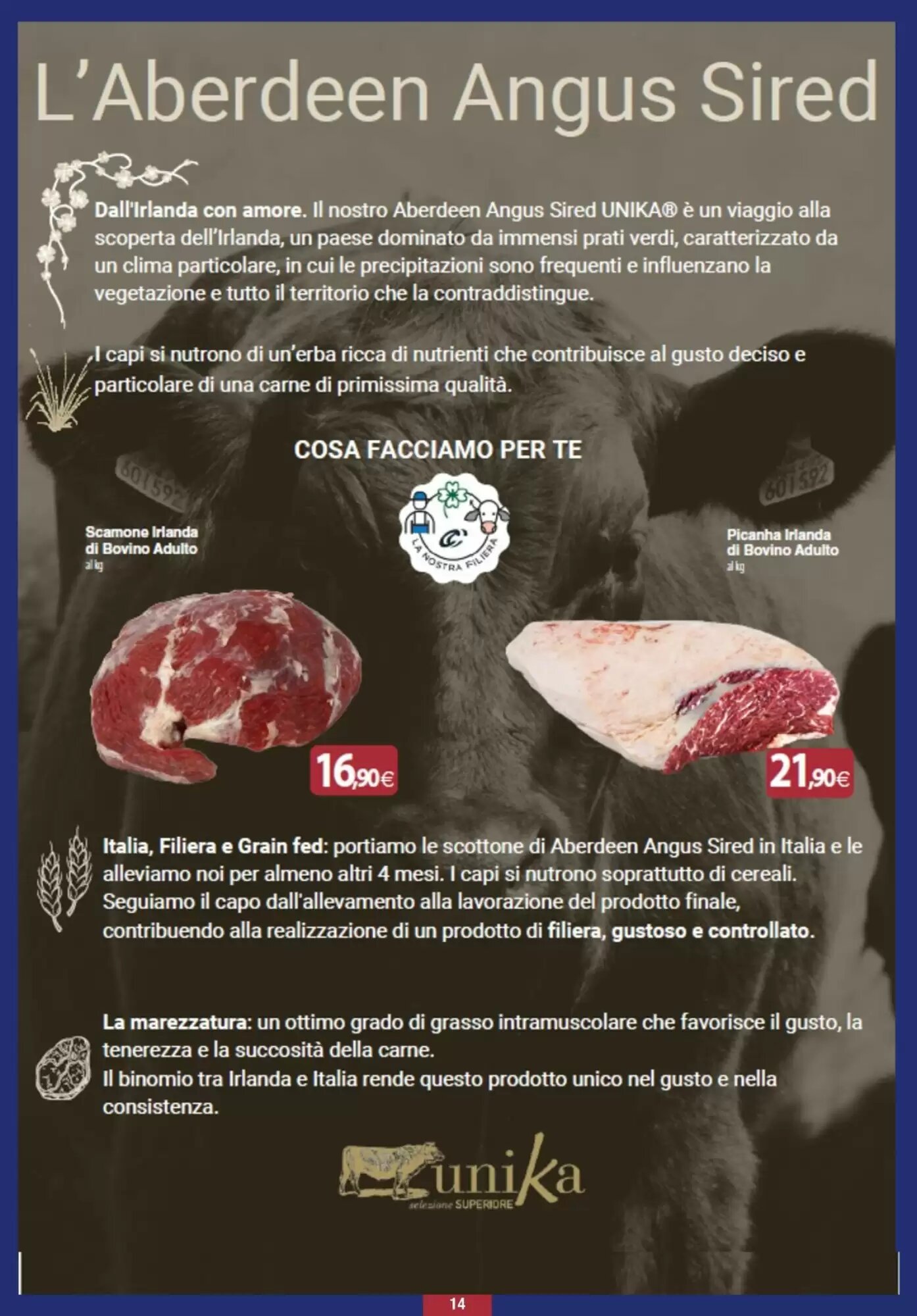 Volantino promozionale Docks Cash&Carry  valide dal 08/10/2026 - Pagina 14.