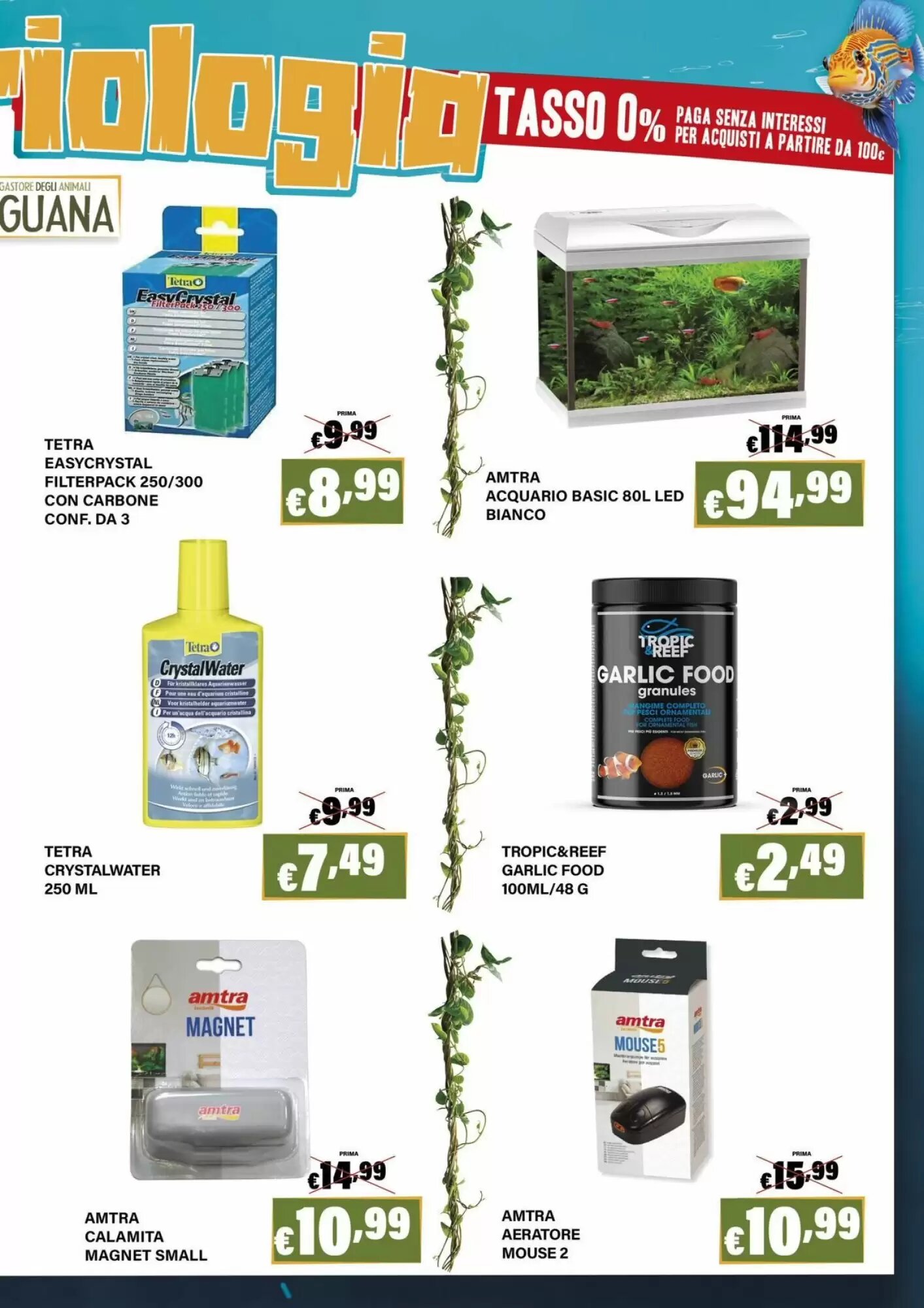 Volantino promozionale Zoomiguana  valide dal 08/10/2026 - Pagina 11.