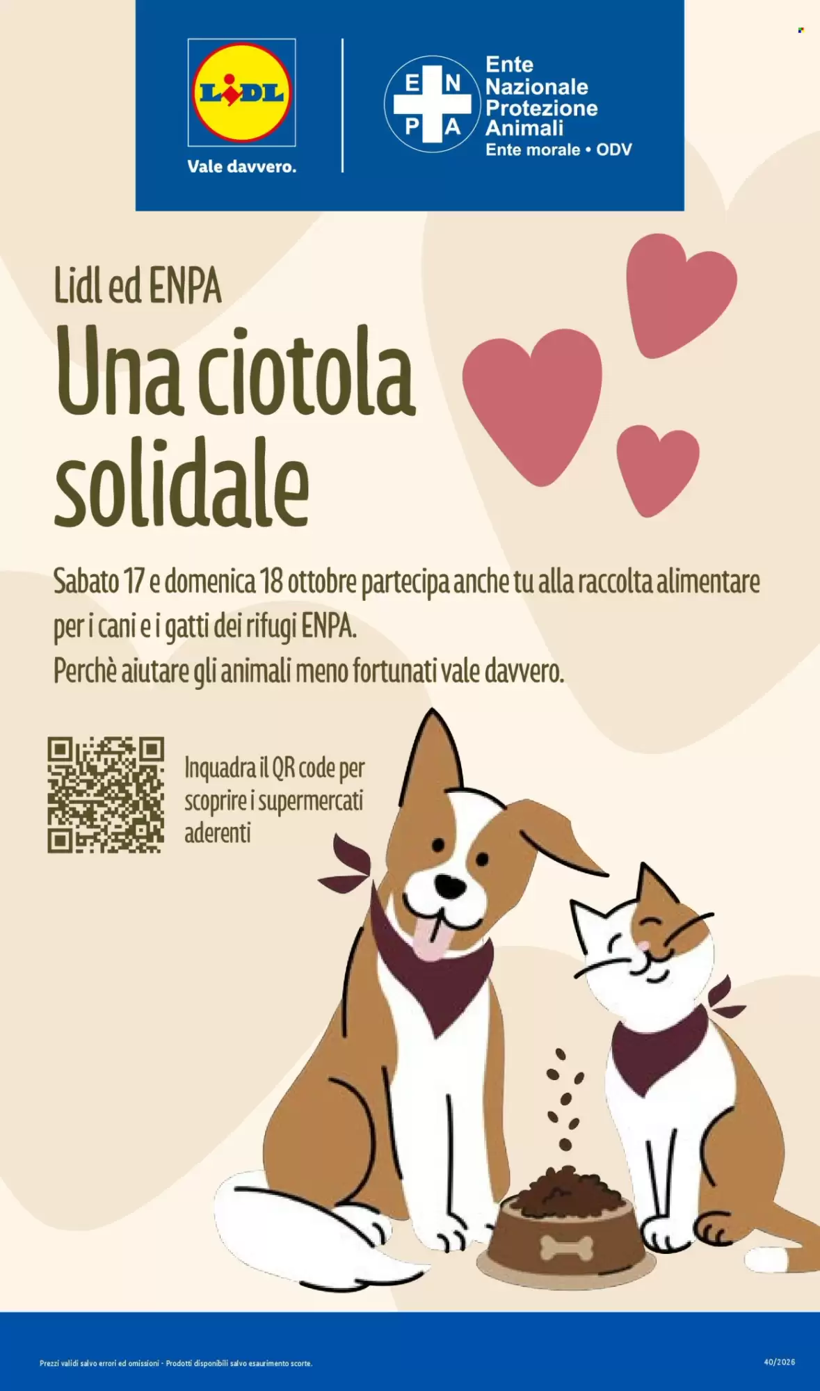 Volantino promozionale Lidl  valide dal 15/10/2026 - Pagina 31.