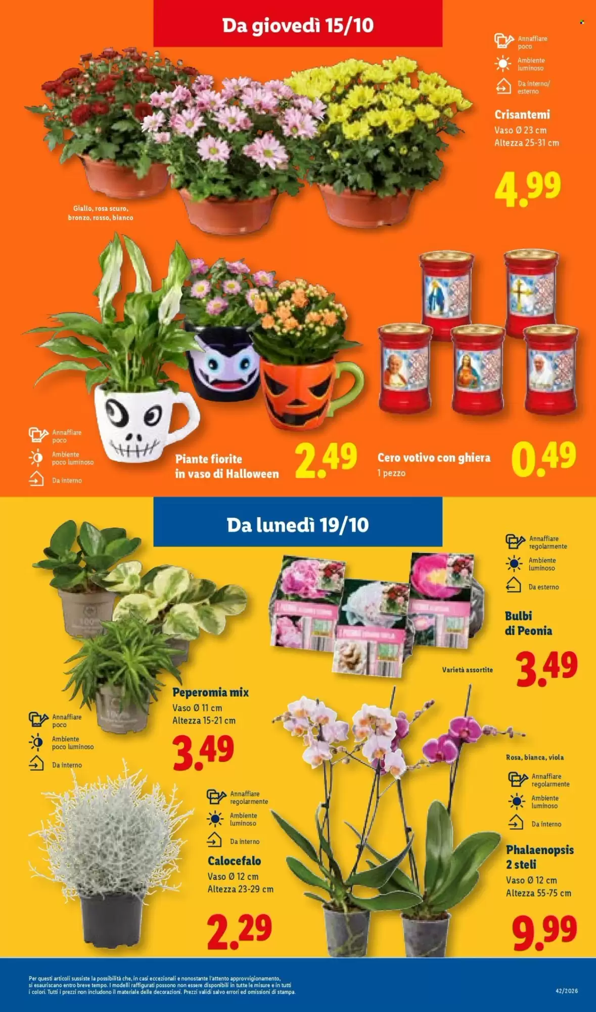 Volantino promozionale Lidl  valide dal 15/10/2026 - Pagina 45.