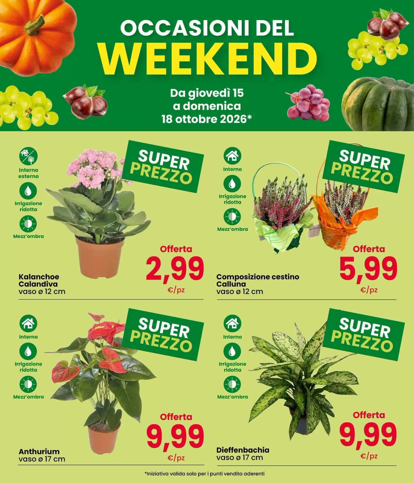 Volantino promozionale Interspar  valide dal 15/10/2026 - Pagina 3.