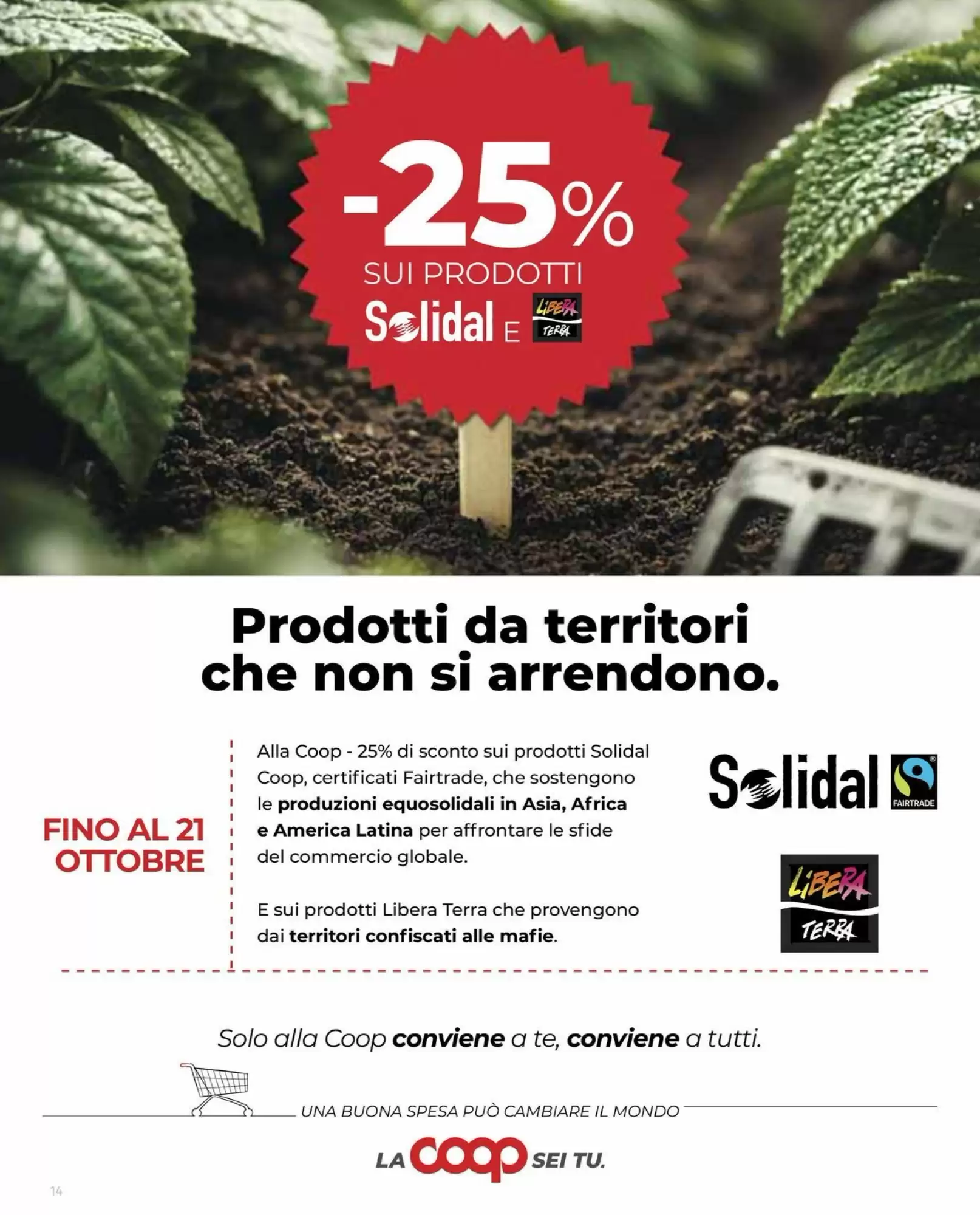 Volantino promozionale Coop Superstore  valide dal 15/10/2026 - Pagina 14.