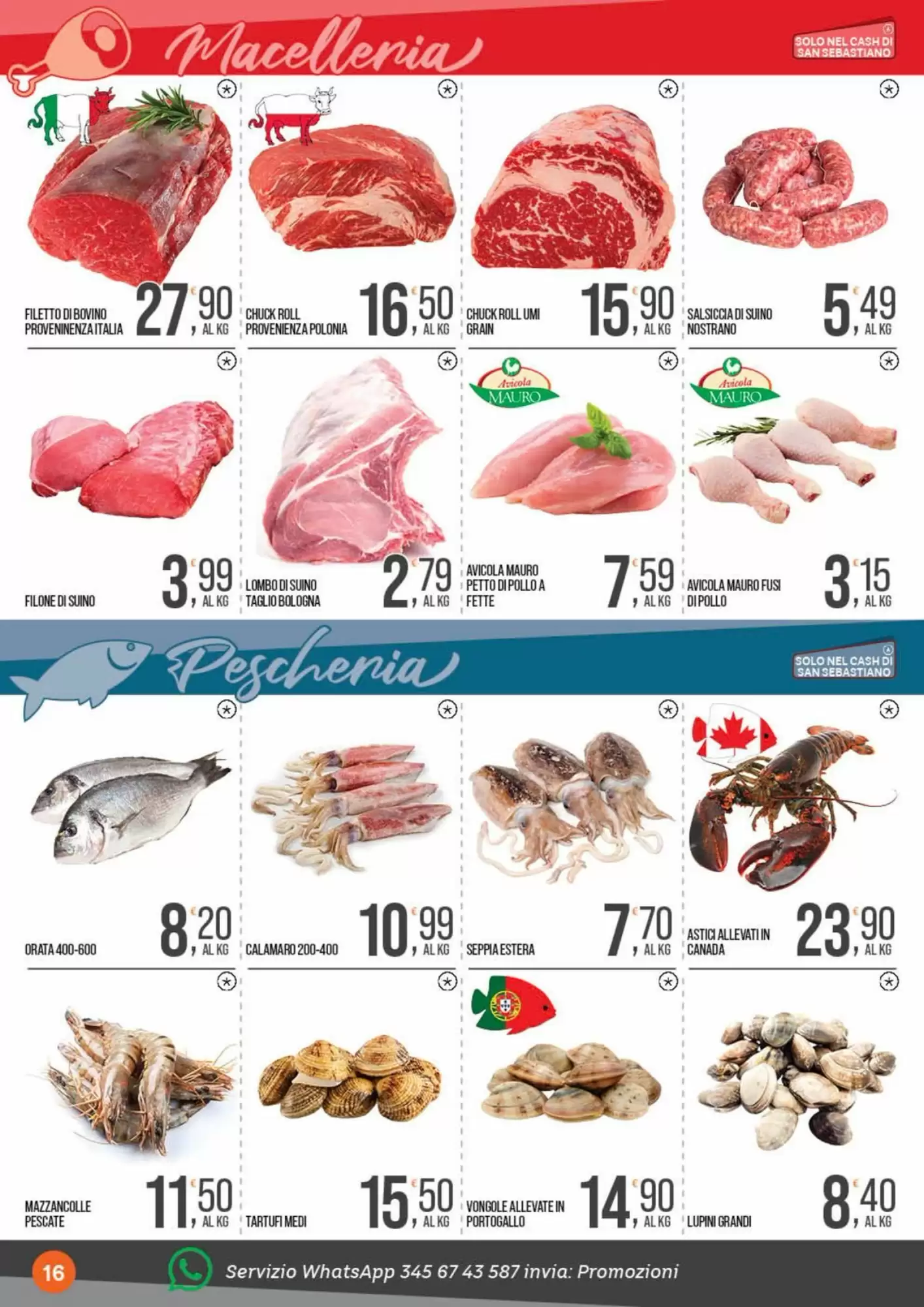 Volantino promozionale Cash pro  valide dal 19/10/2026 - Pagina 16.
